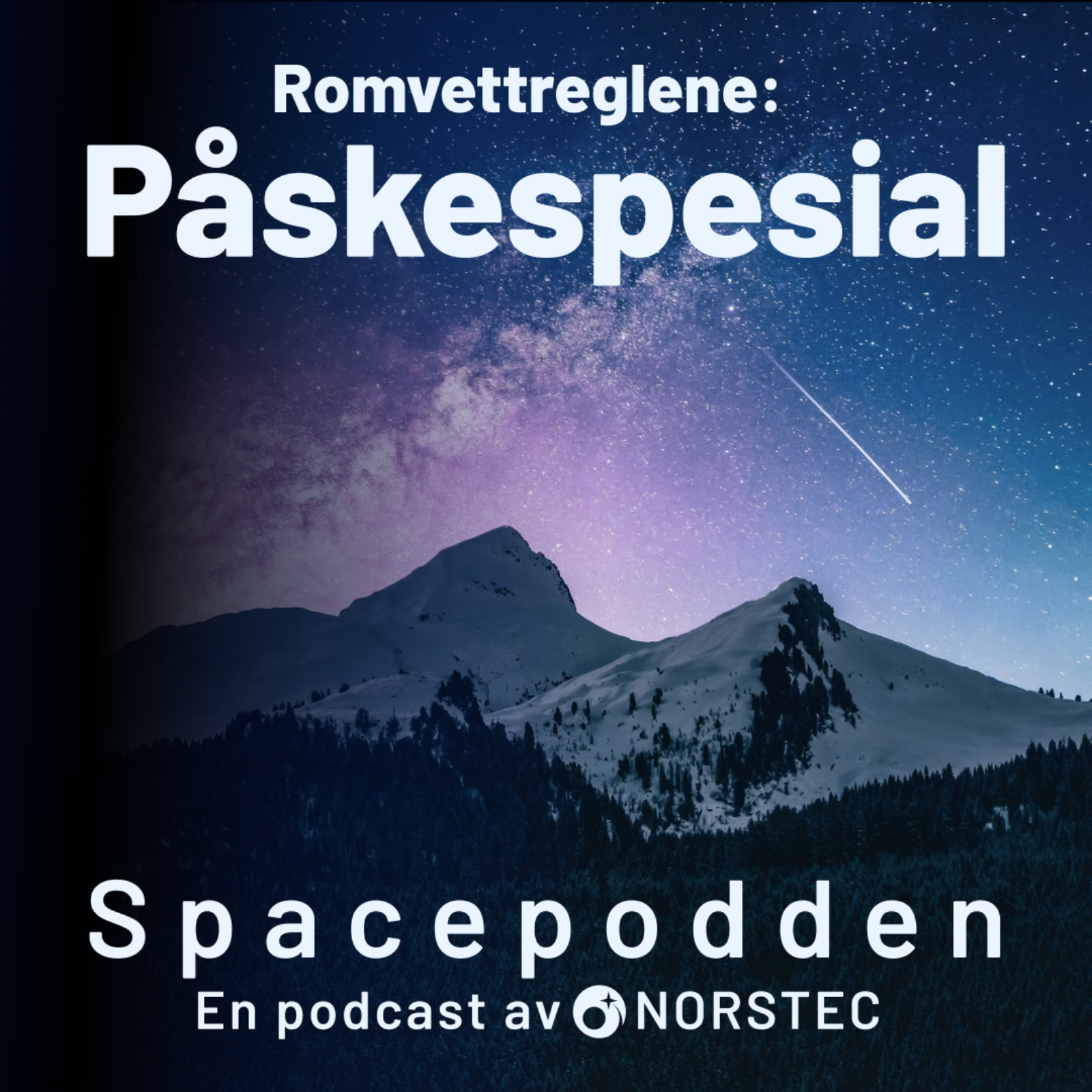 Spacepodden