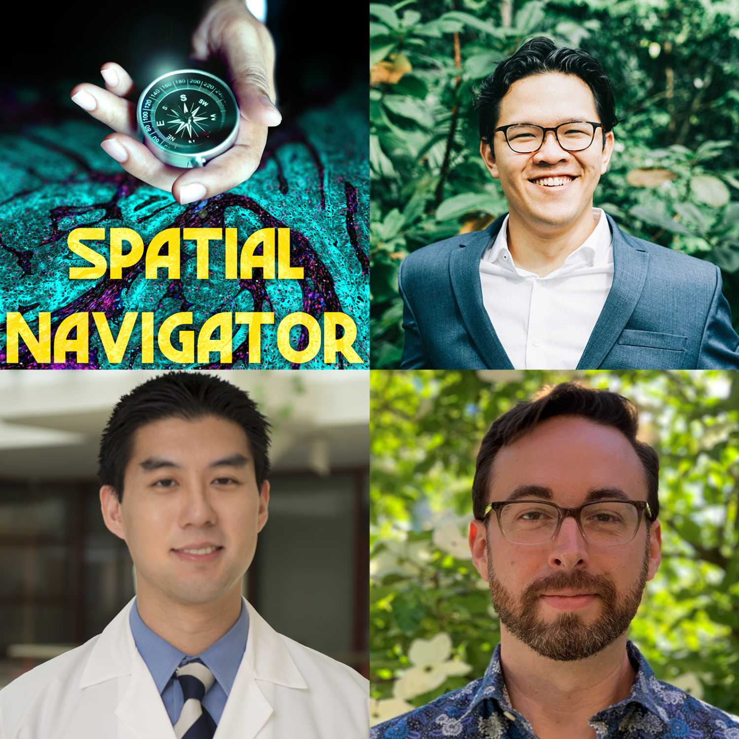Spatial Navigator