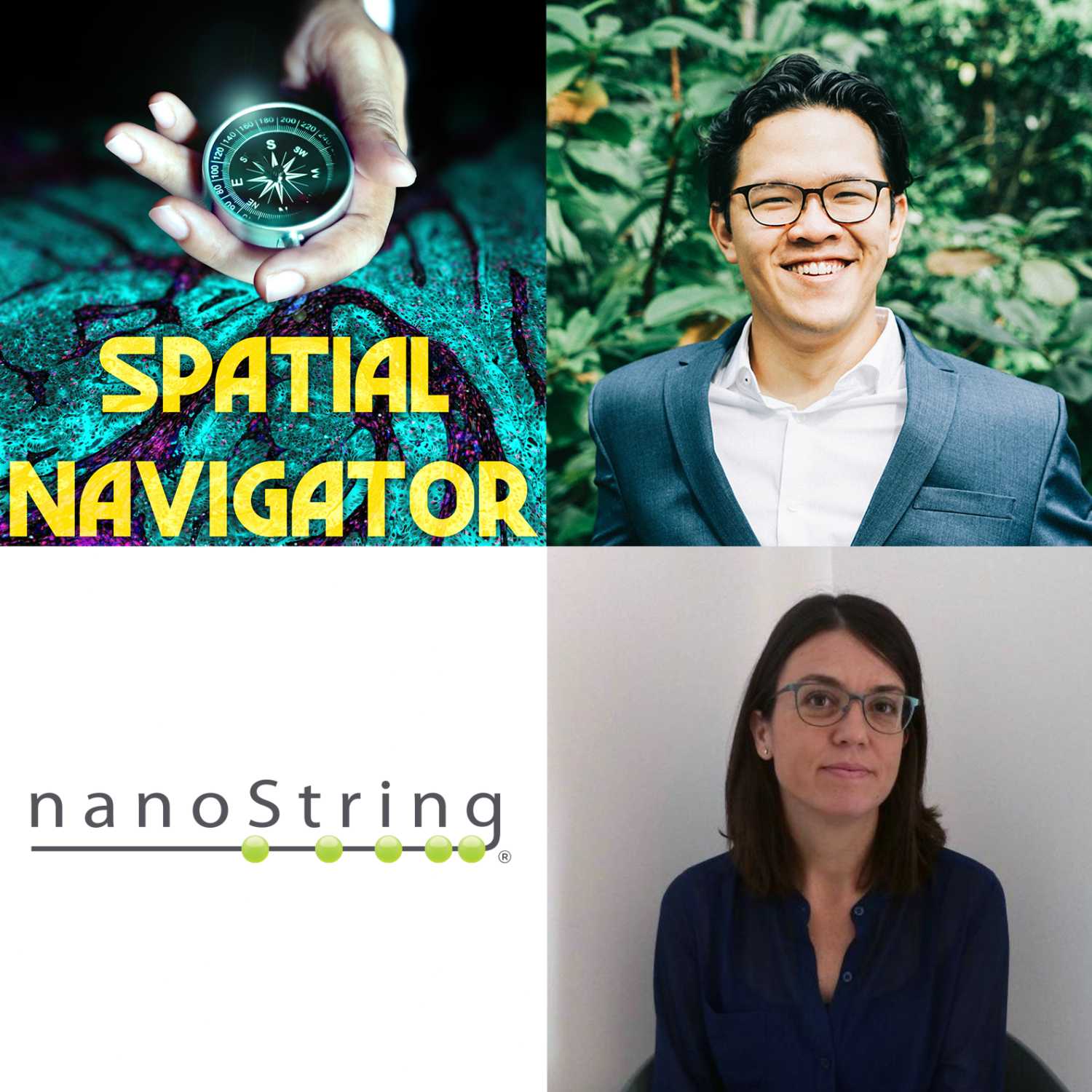 Spatial Navigator
