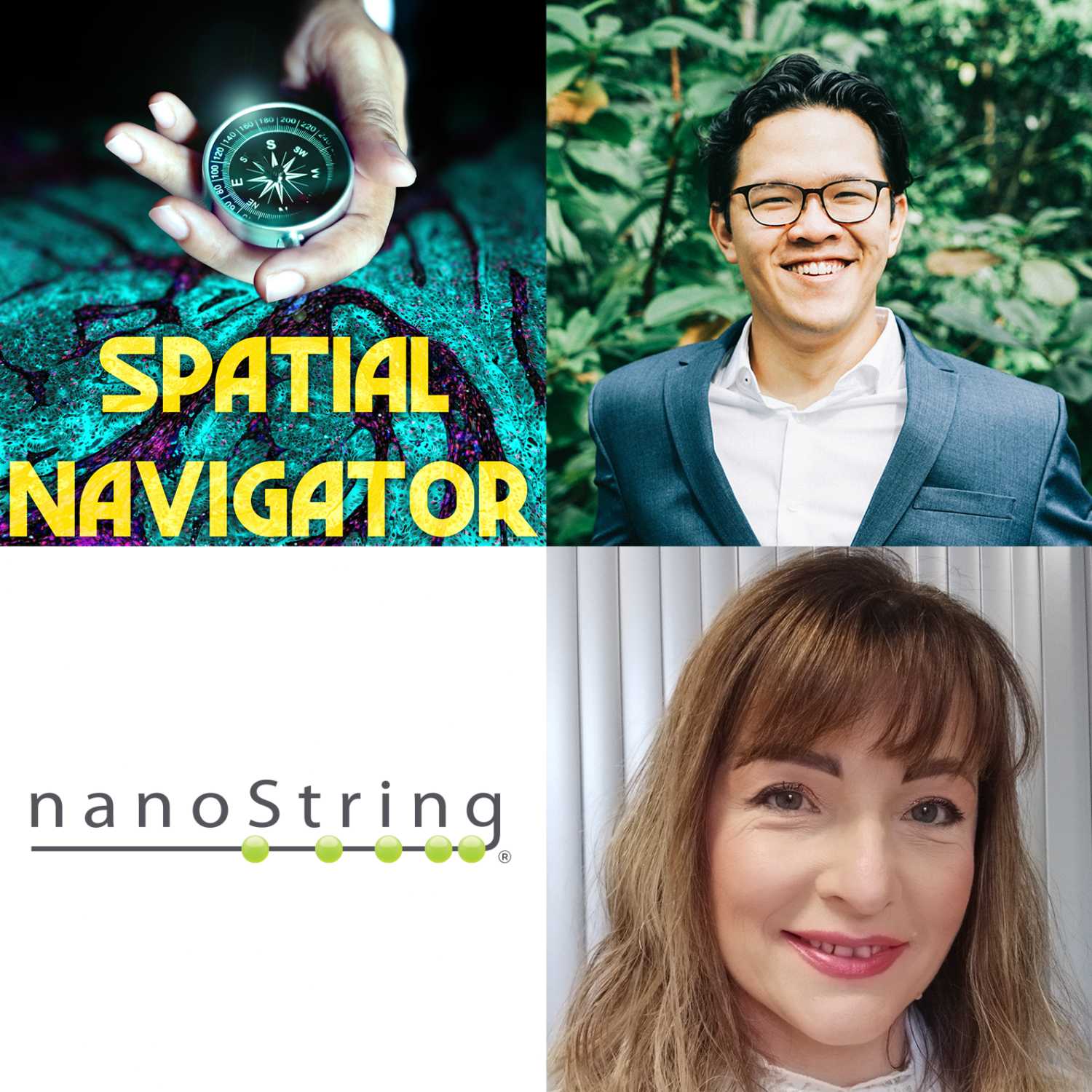 Spatial Navigator