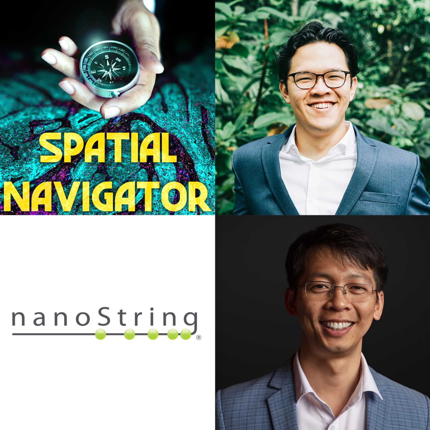 Spatial Navigator