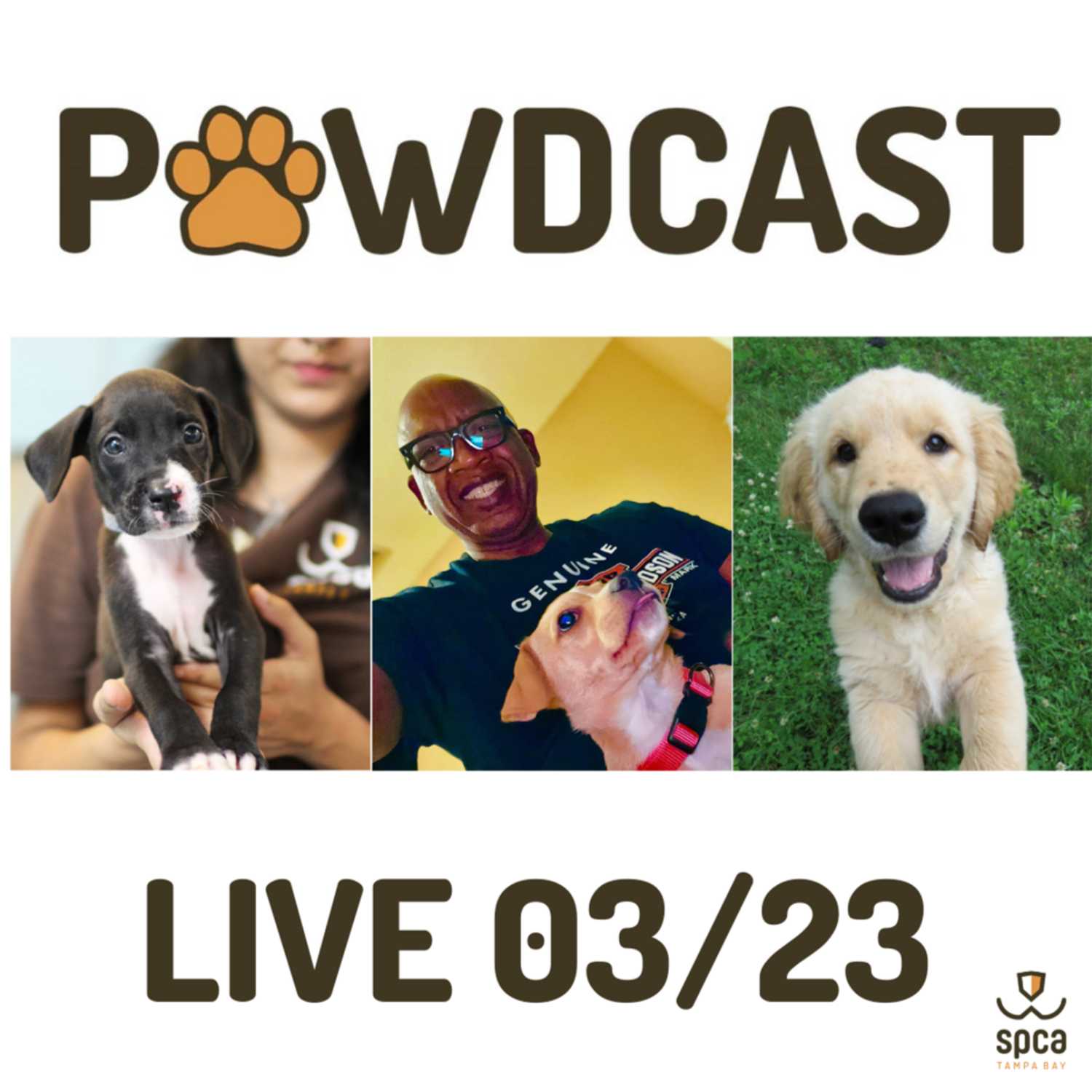 National Puppy Day on the For-All PAWDcast episode artwork