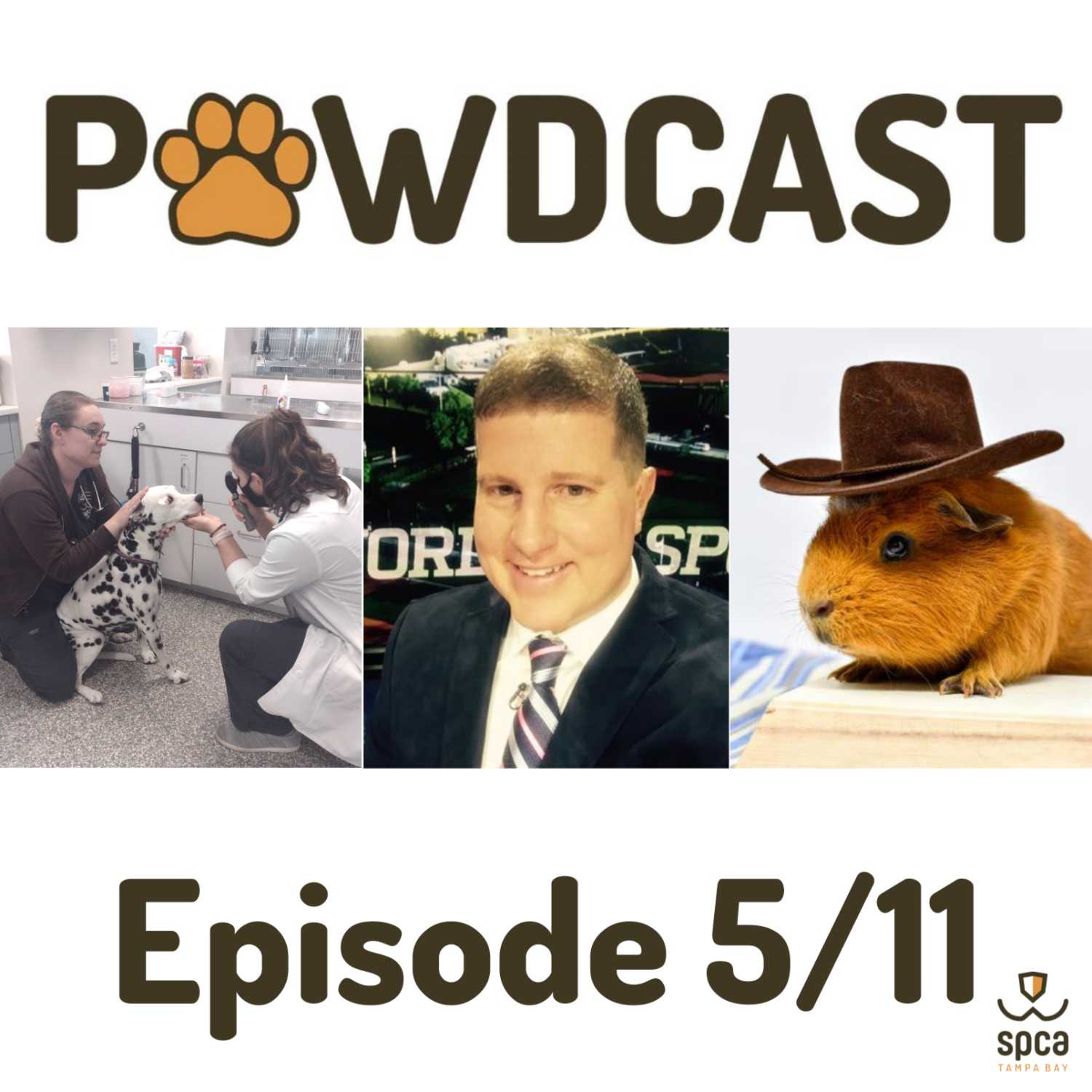 Talking Pocket Pets and Tampa Bay Rowdies on the For-All PAWDcast episode artwork
