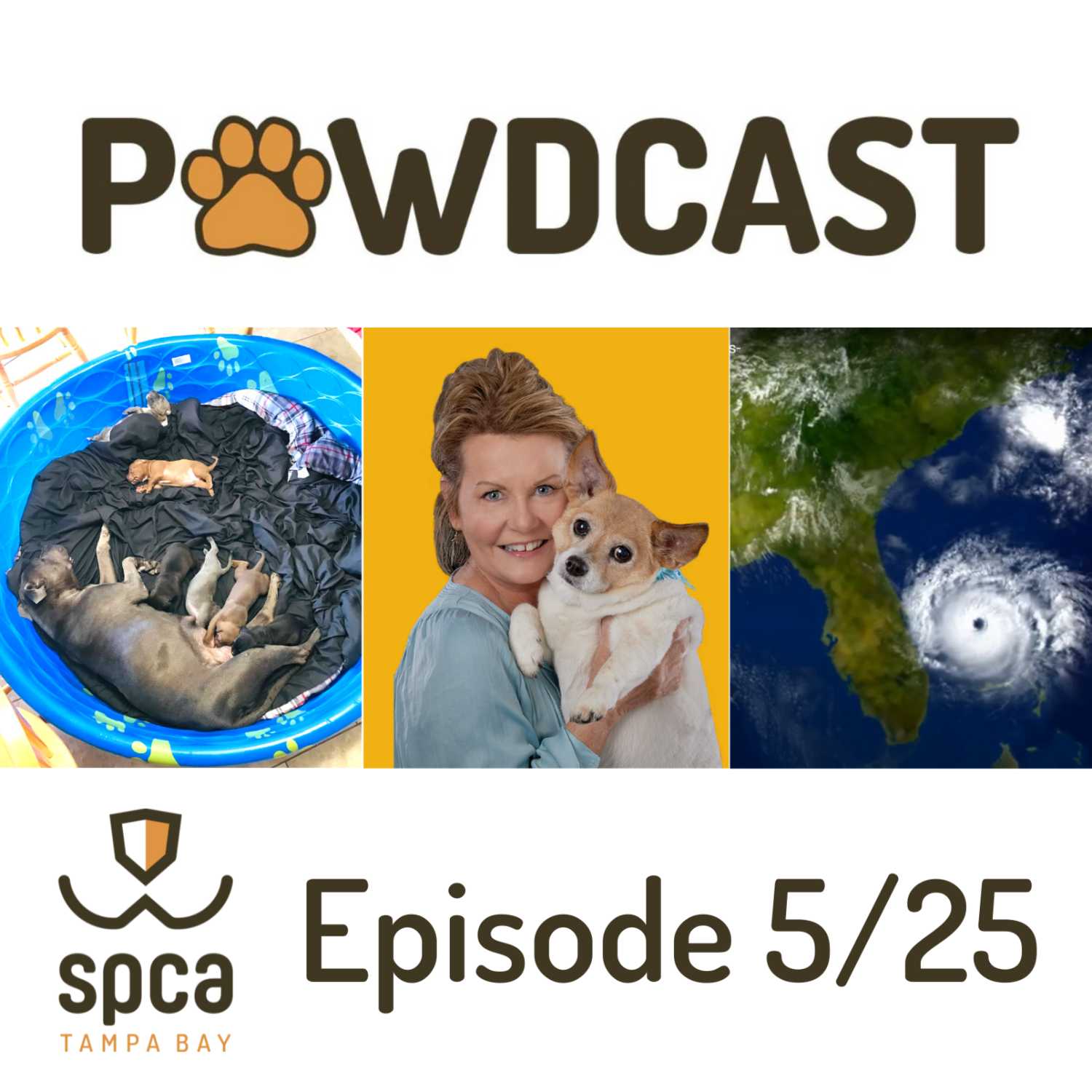 National Rescue Dog Day on the For-All PAWDcast