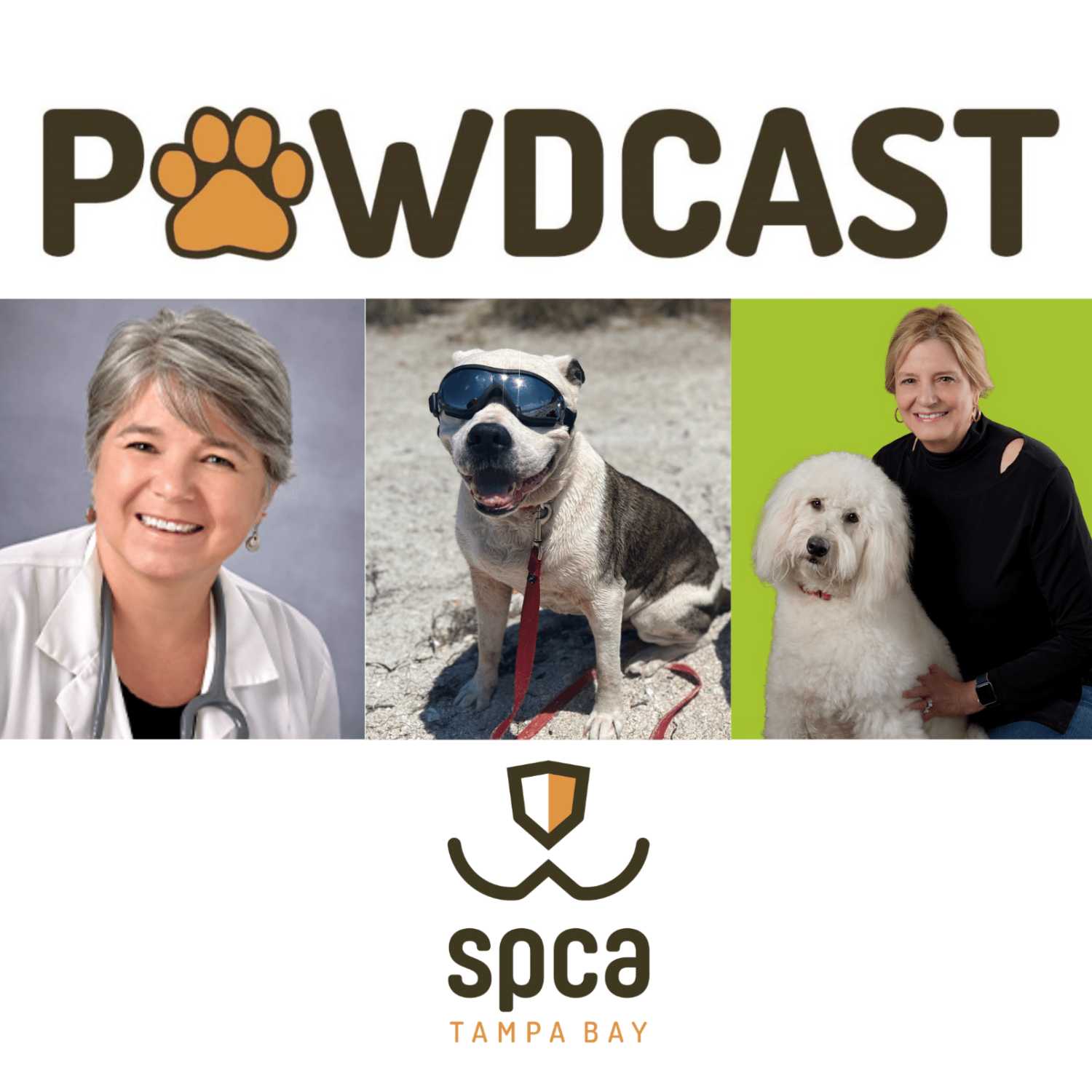 SPCA Tampa Bay Animal Tails Podcast
