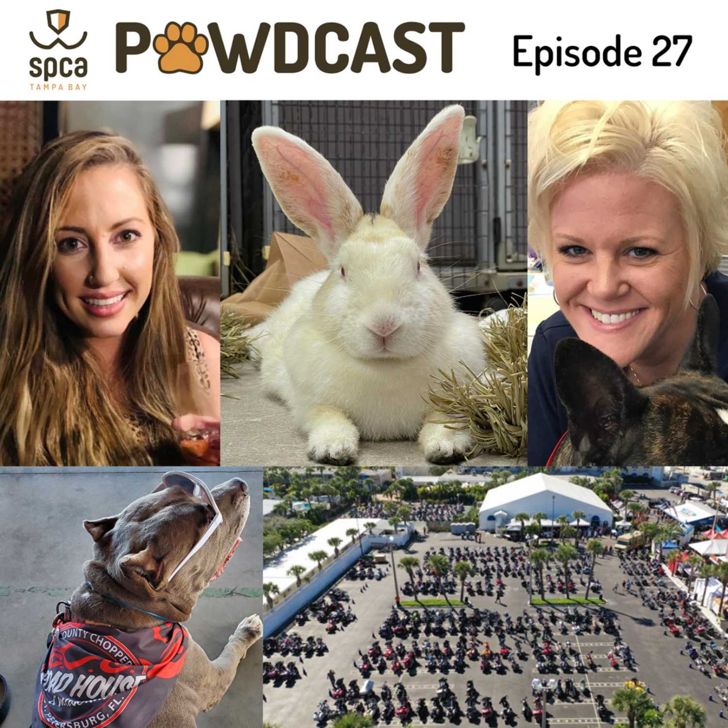 SPCA Tampa Bay Animal Tails Podcast