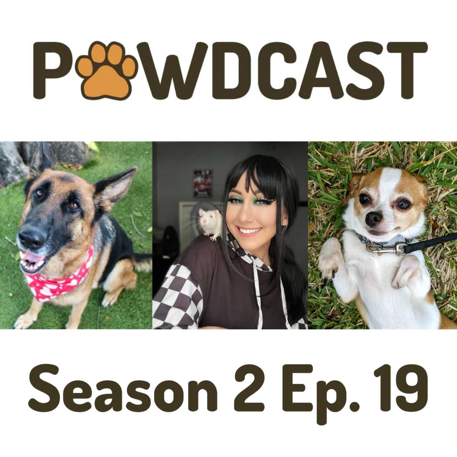 SPCA Tampa Bay Animal Tails Podcast