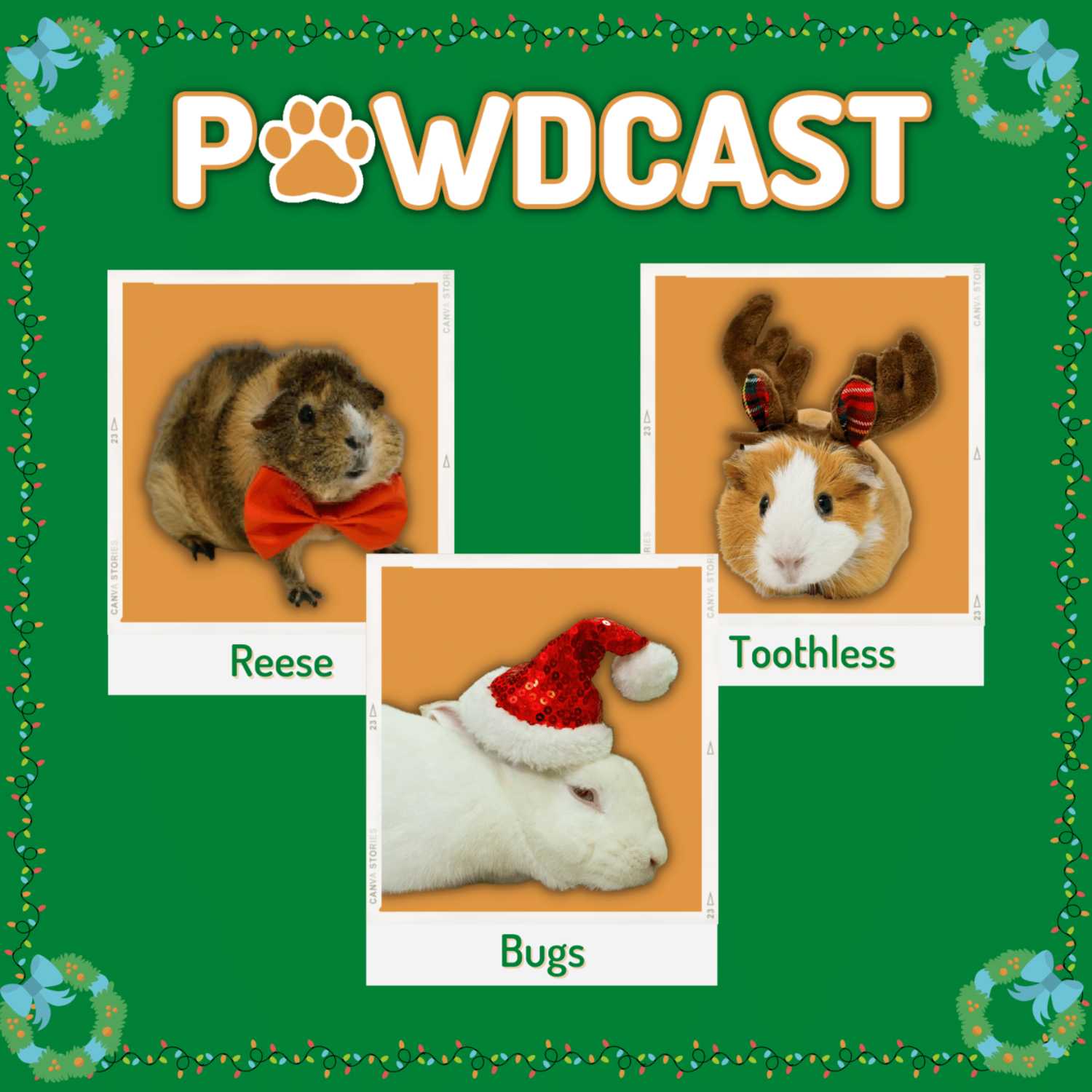 SPCA Tampa Bay Animal Tails Podcast