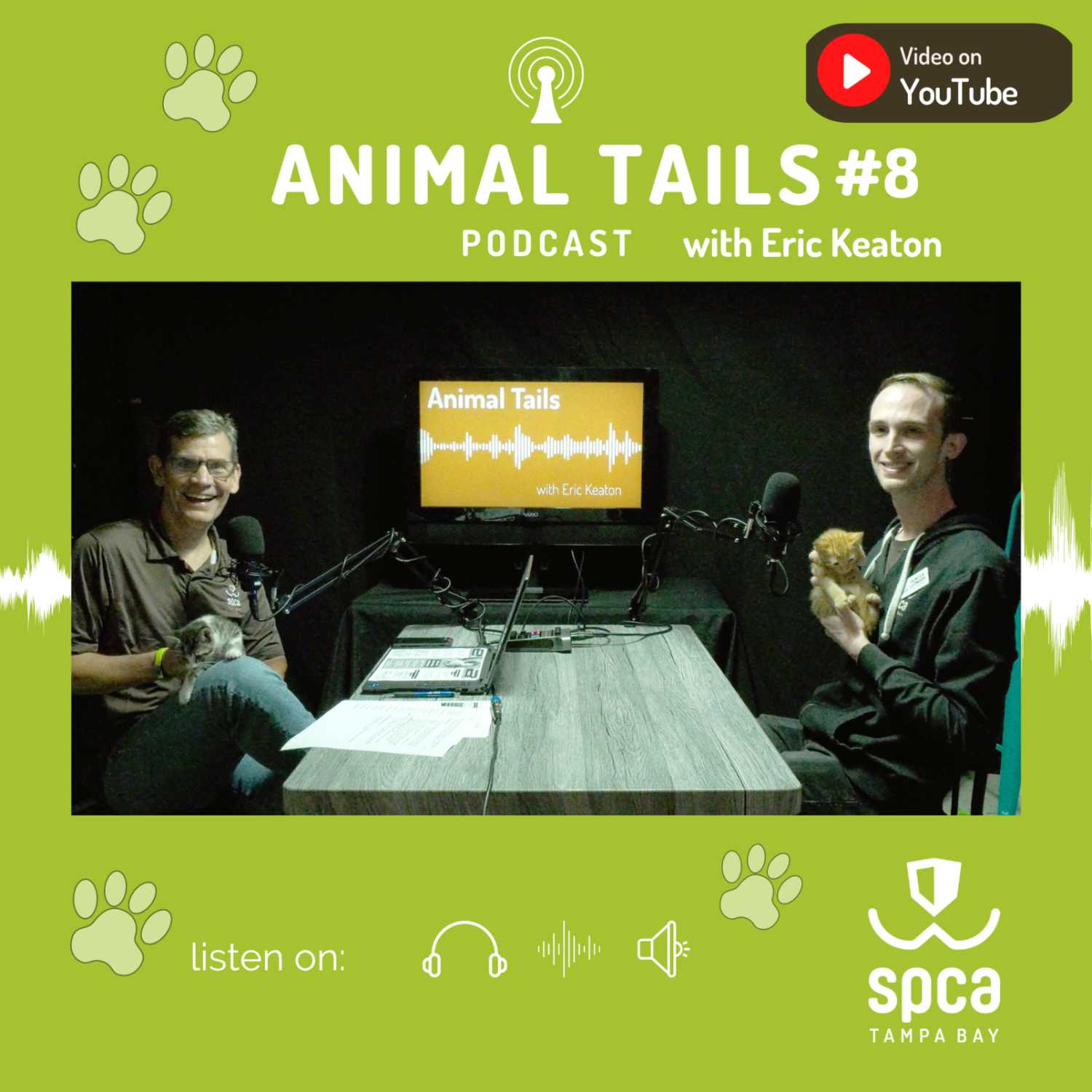 How to foster a dog or cat at your local animal shelter How to foster a dog or cat at your local animal shelter