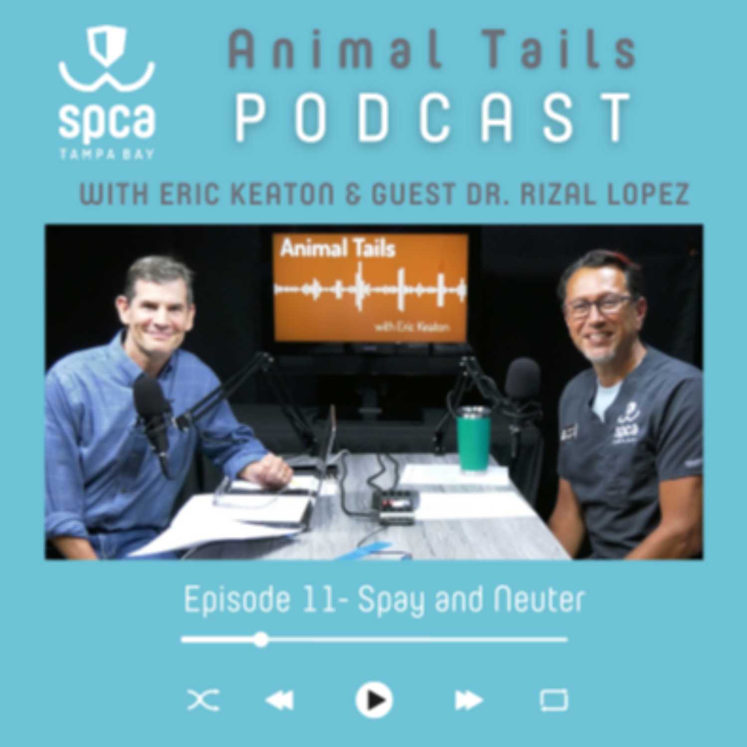 How spay and neuter saves dogs and cats How spay and neuter saves dogs and cats