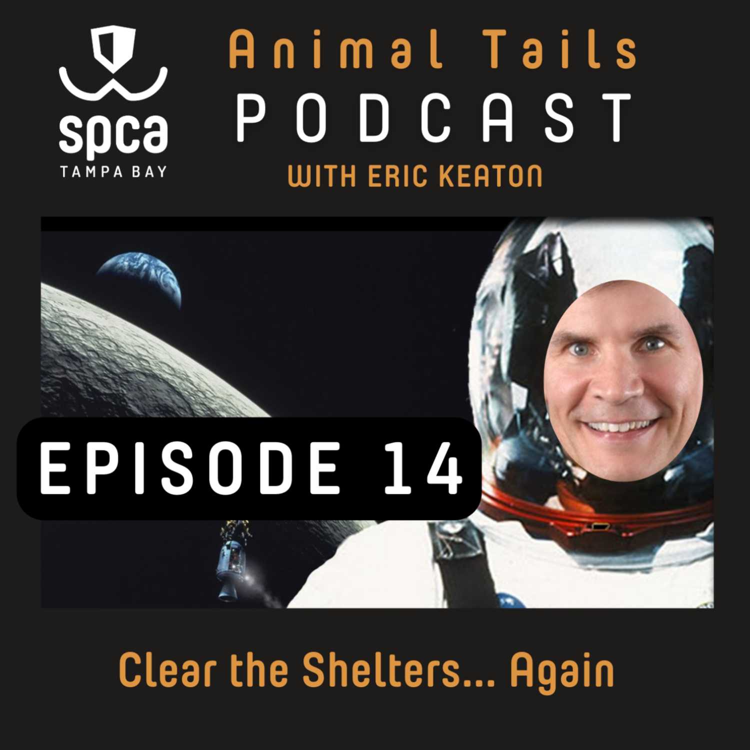 119 Animal Adoptions During Clear the Shelters 119 Animal Adoptions During Clear the Shelters