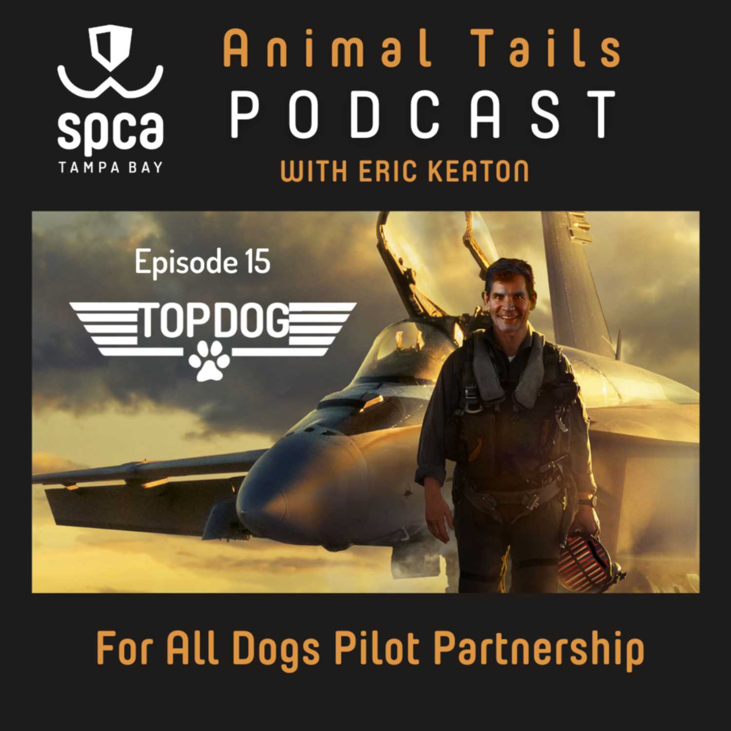 SPCA Tampa Bay Animal Tails Podcast