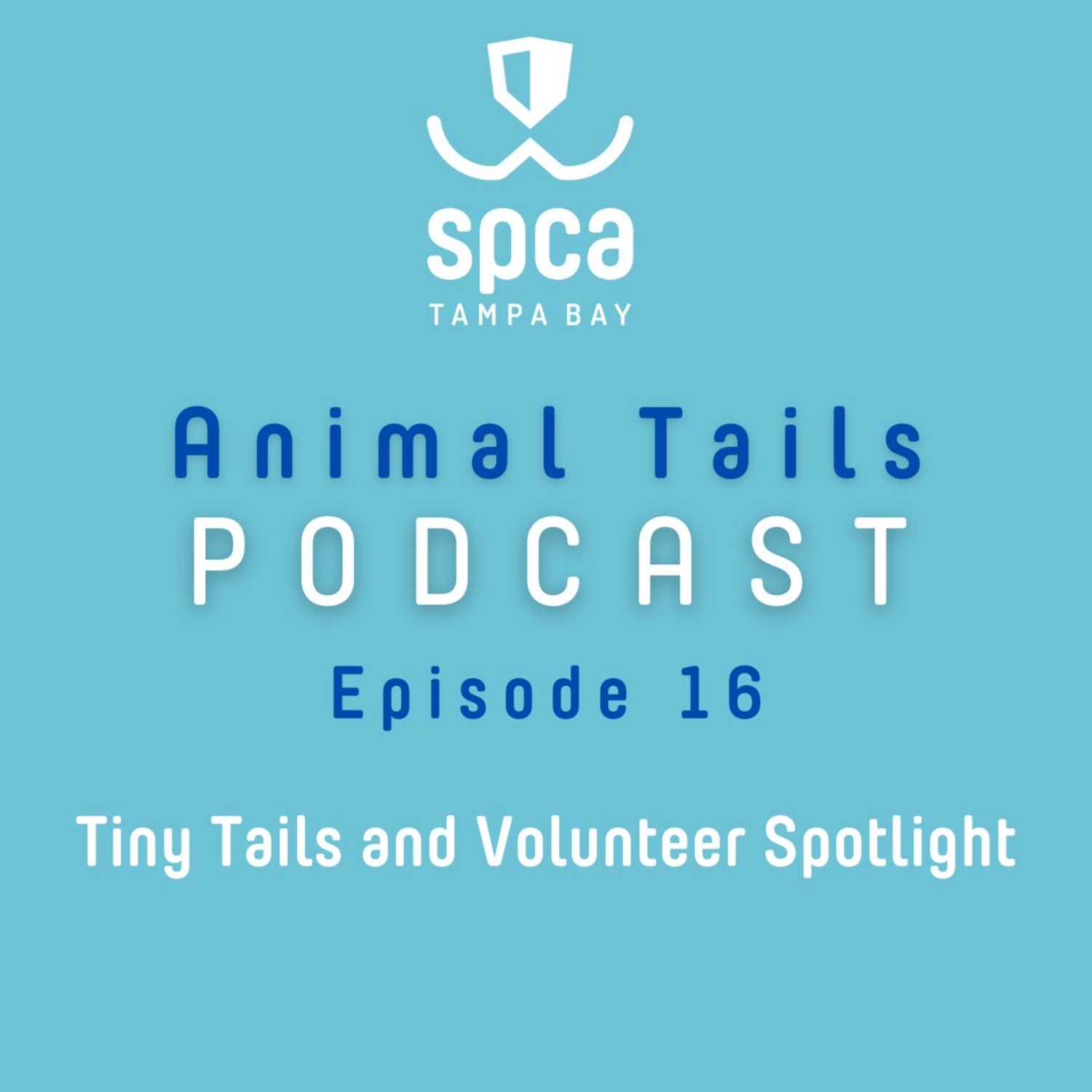 Celebrating Rabbit Adoptions and Volunteers | Animal Tails Podcast Episode 16 Celebrating Rabbit Adoptions and Volunteers | Animal Tails Podcast Episode 16