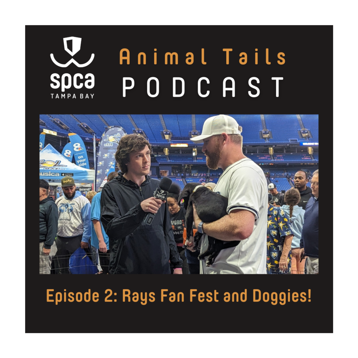 SPCA Tampa Bay Animal Tails Podcast
