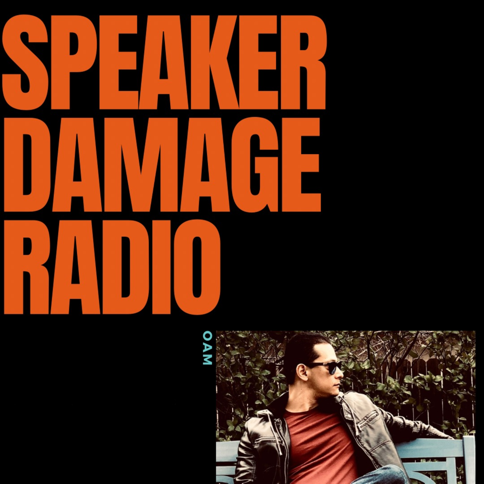 Speaker Damage Radio