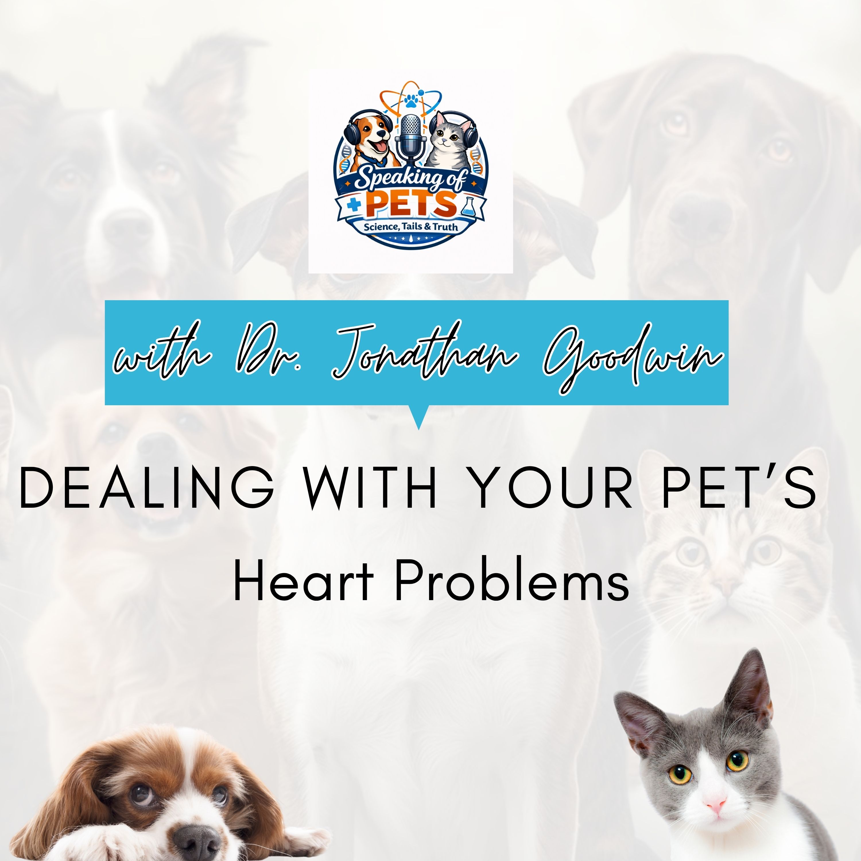 Dealing With Your Pet’s Heart Problems | SOP Ep. 107 - Dr. Jonathan Goodwin episode artwork
