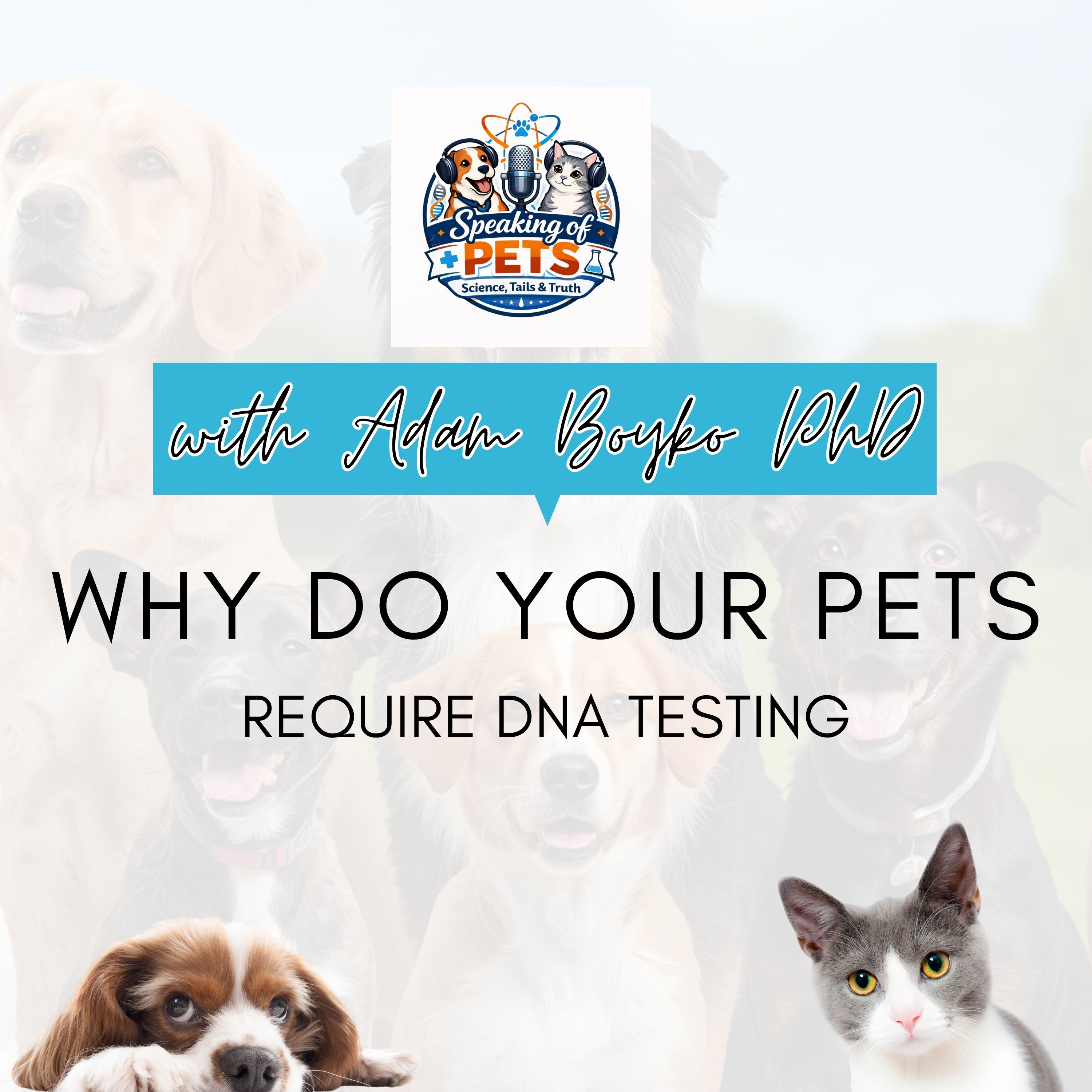 Why Do Your Pets Require DNA Testing | SOP Ep.108 - Dr. Adam Boyko episode artwork
