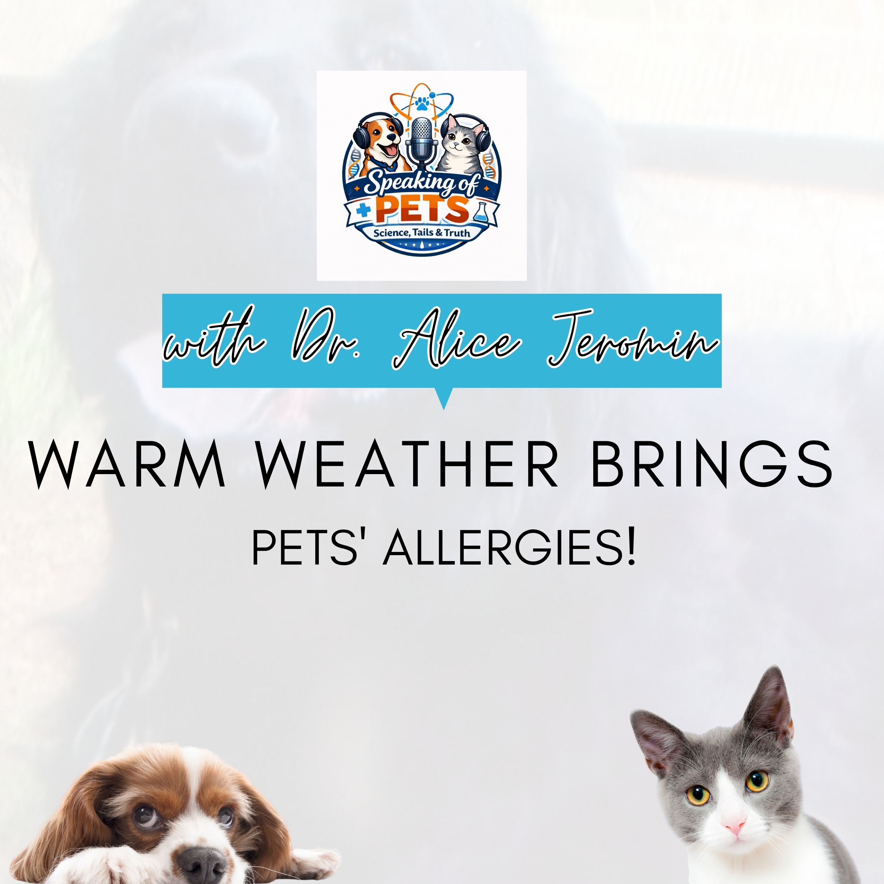 Warm Weather Brings Pets' Allergies! | SOP Ep. 110 - Dr. Alice Jeromin episode artwork