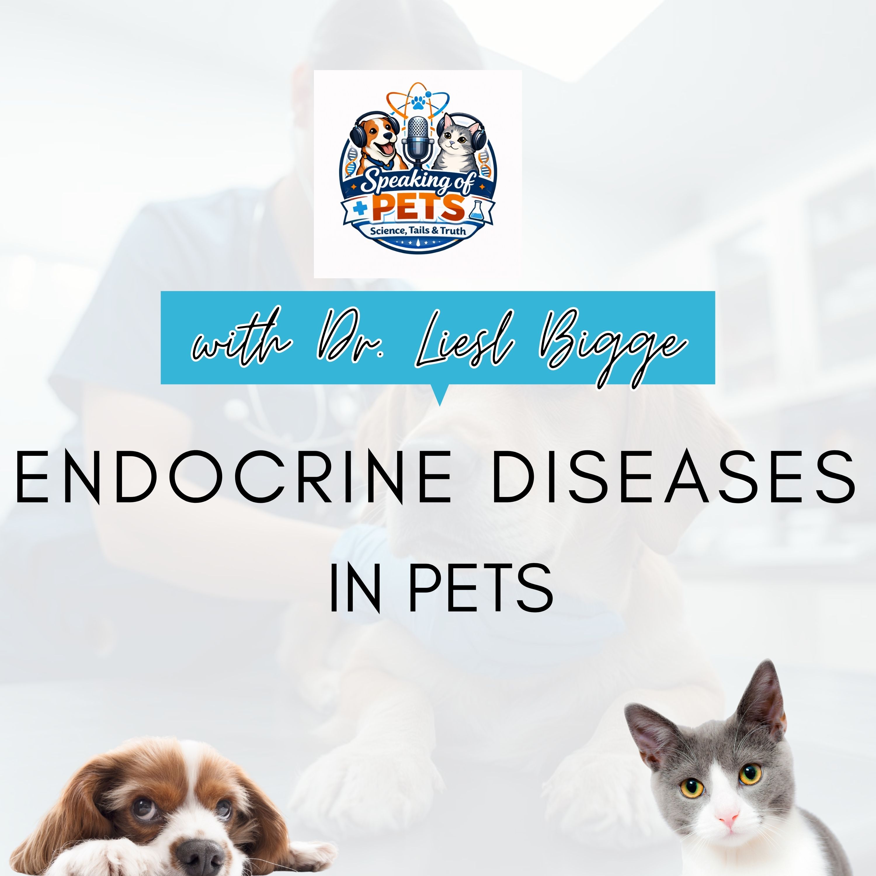 Endocrine Diseases In Pets | SOP Ep. 74 - Dr. Liesl Bigge