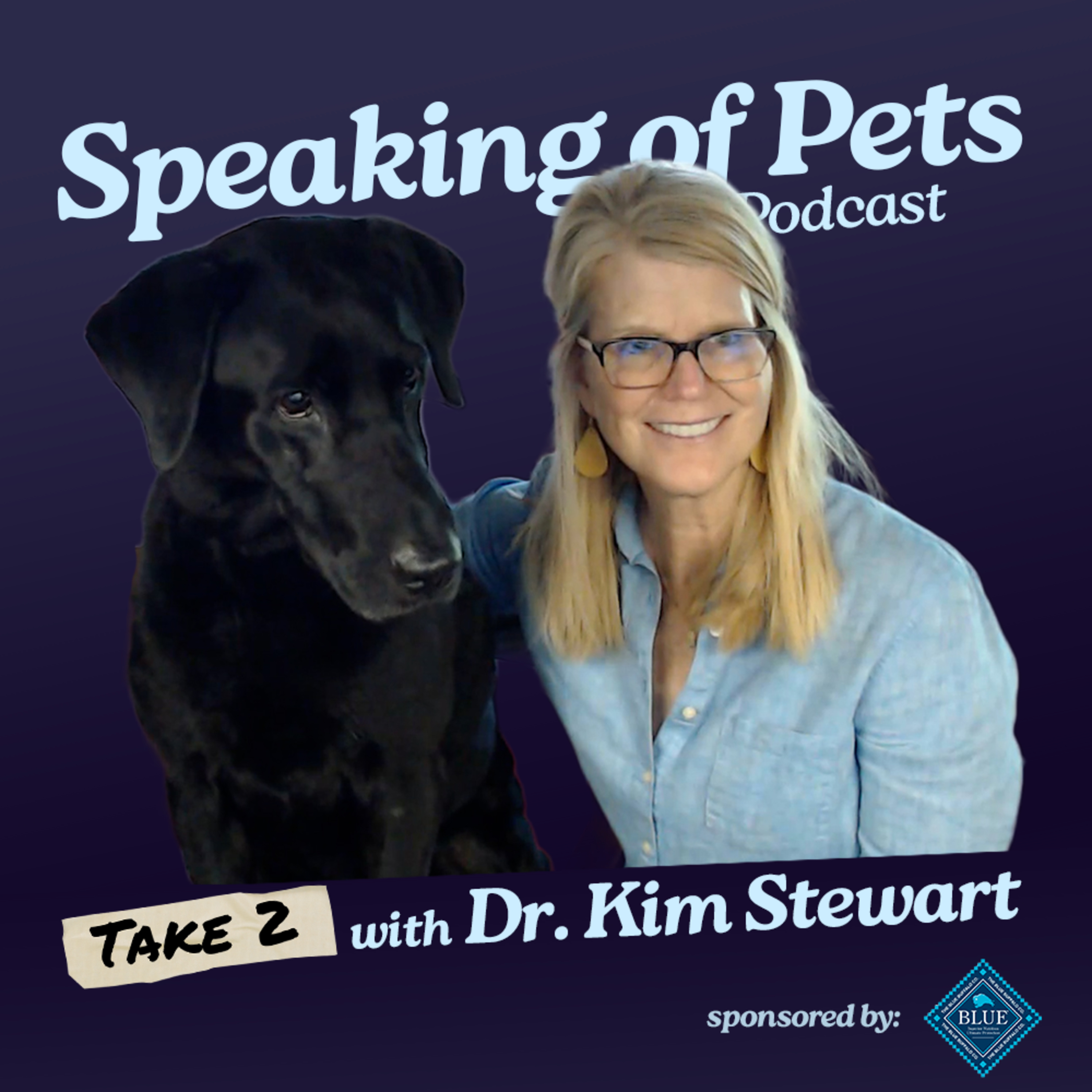 This Dog is a Search-and-Rescue Master | Speaking of Pets episode 89 - Dr. Kim Stewart Take 2