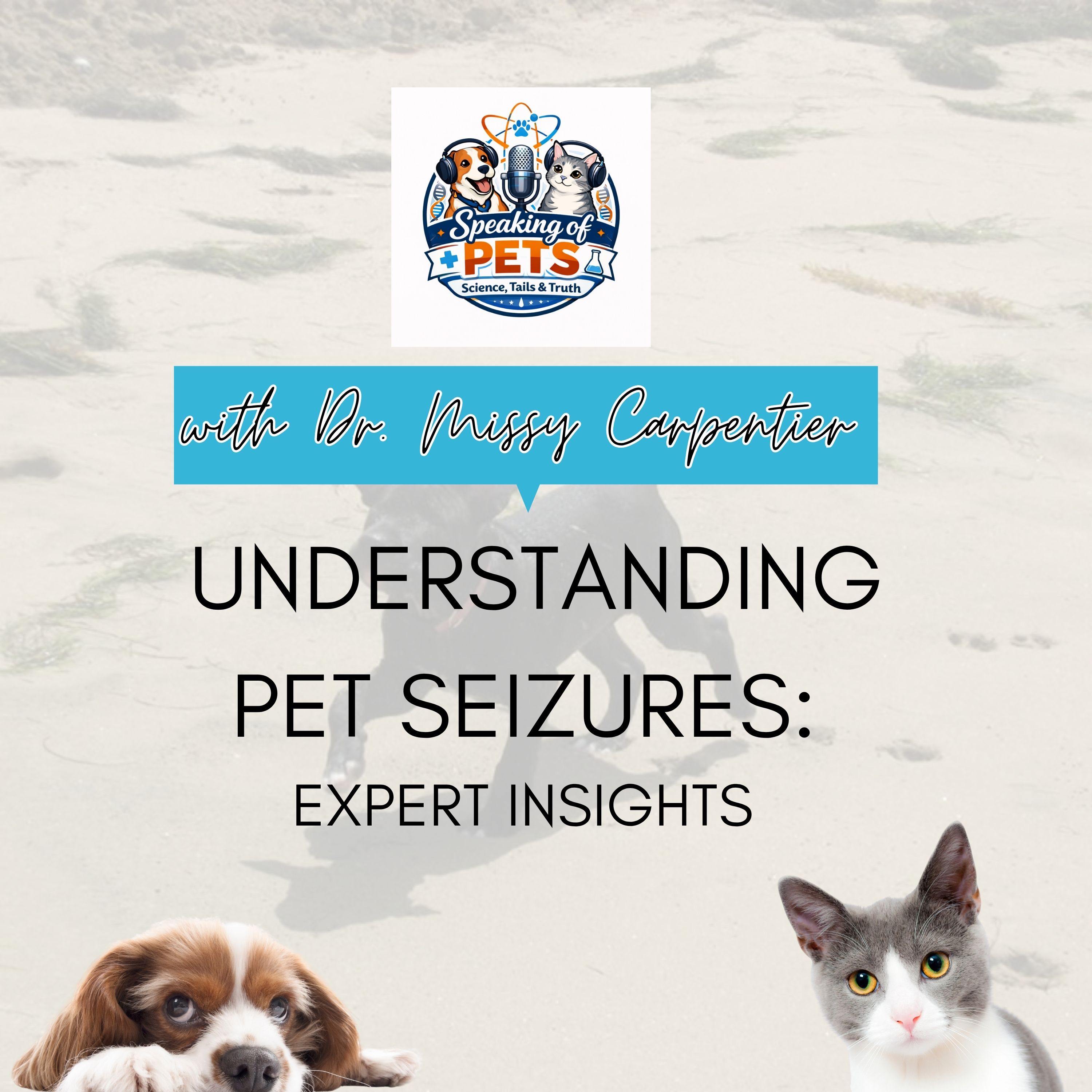 Understanding Pet Seizures: Expert Insights | SOP Ep. 120 - Missy Carpentier episode artwork