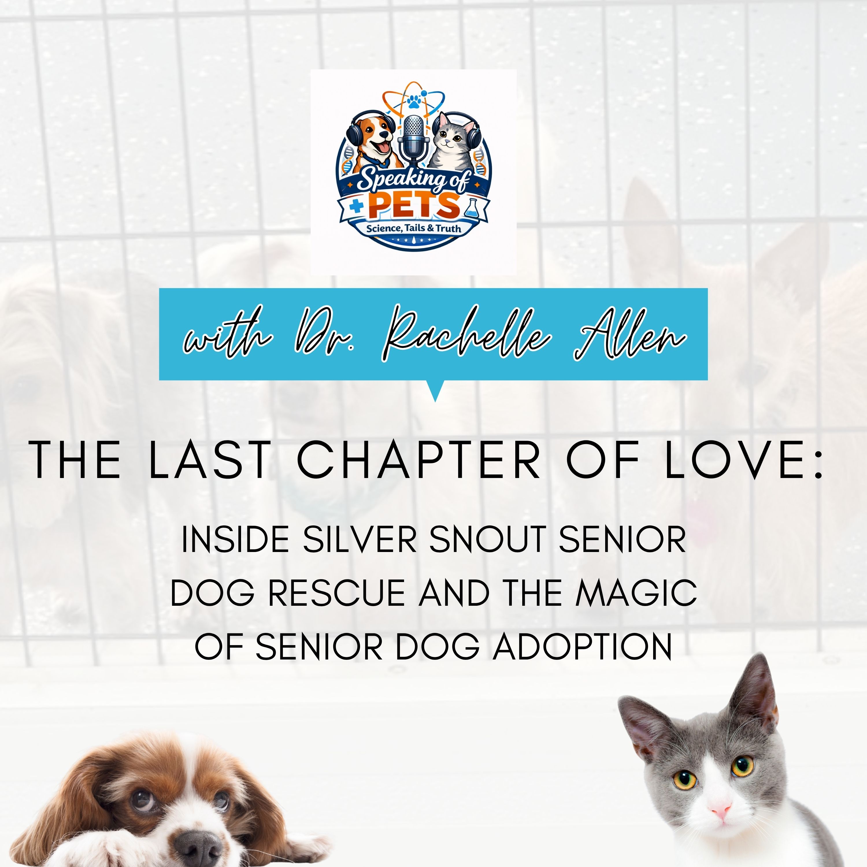 The Last Chapter Of Love: Inside Silver Snout Senior Dog Rescue And The Magic Of Senior Dog Adoption | SOP Ep. 113 - Dr. Rachelle Allen episode artwork
