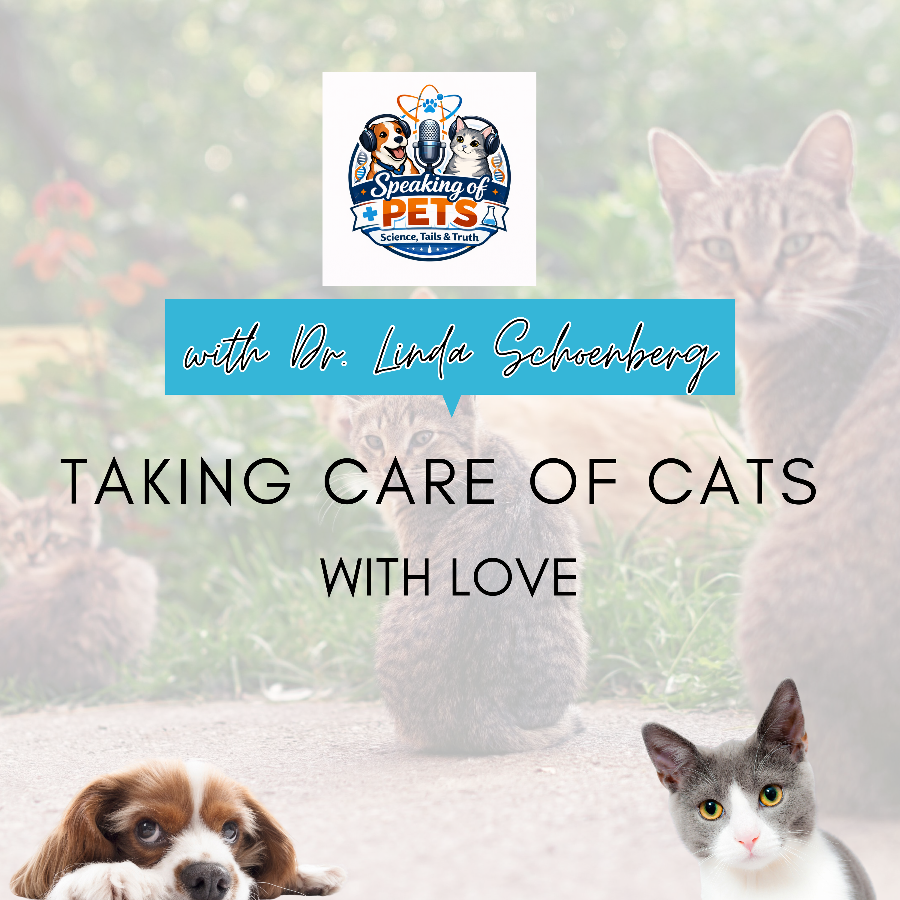 Taking Care Of Cats With Love | SOP Ep. 106 -  Dr. Linda Schoenberg