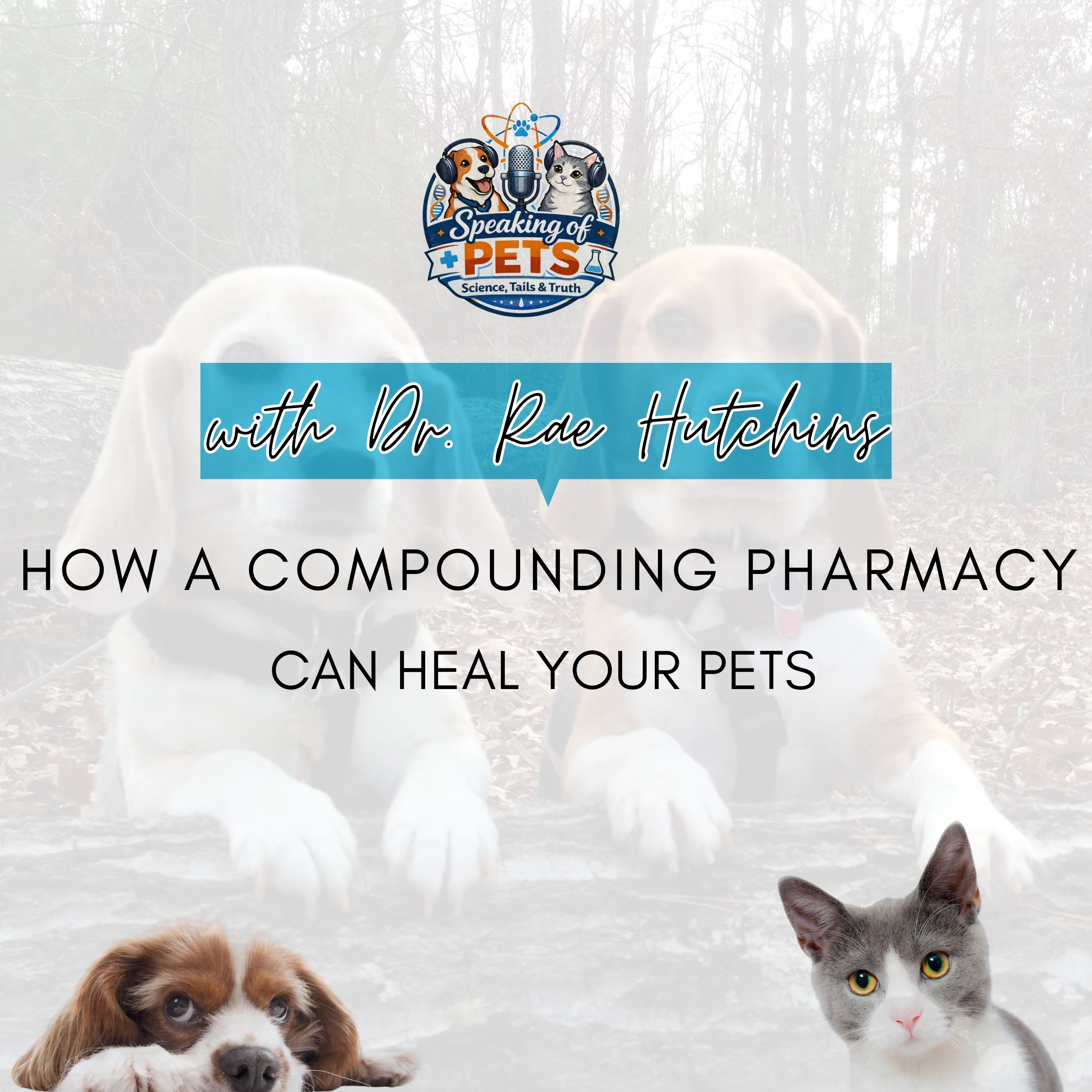 How A Compounding Pharmacy Can Heal Your Pets | SOP Ep. 105 - Dr. Rae Hutchins