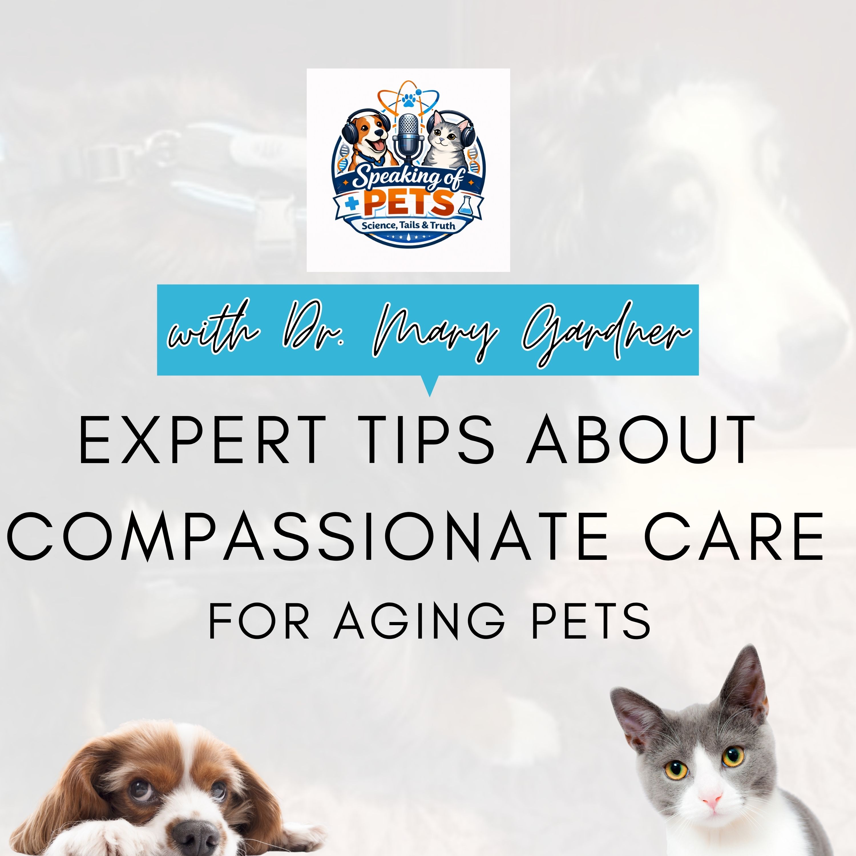 Expert Tips About Compassionate Care For Aging Pets | SOP Ep. 72 - Dr. Mary Gardner