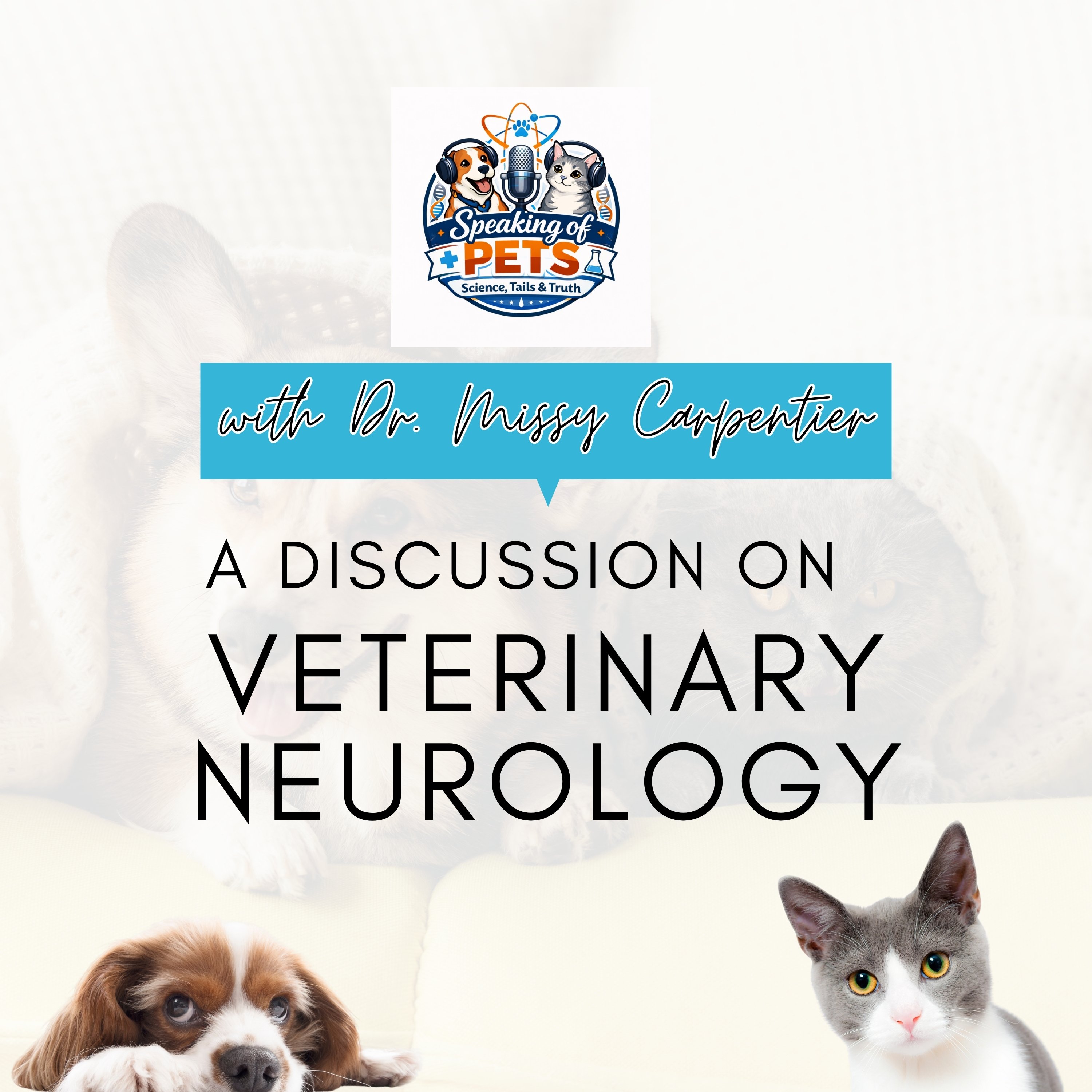 A Discussion on Veterinary Neurology | SOP ep. 68 - Dr. Missy Carpentier