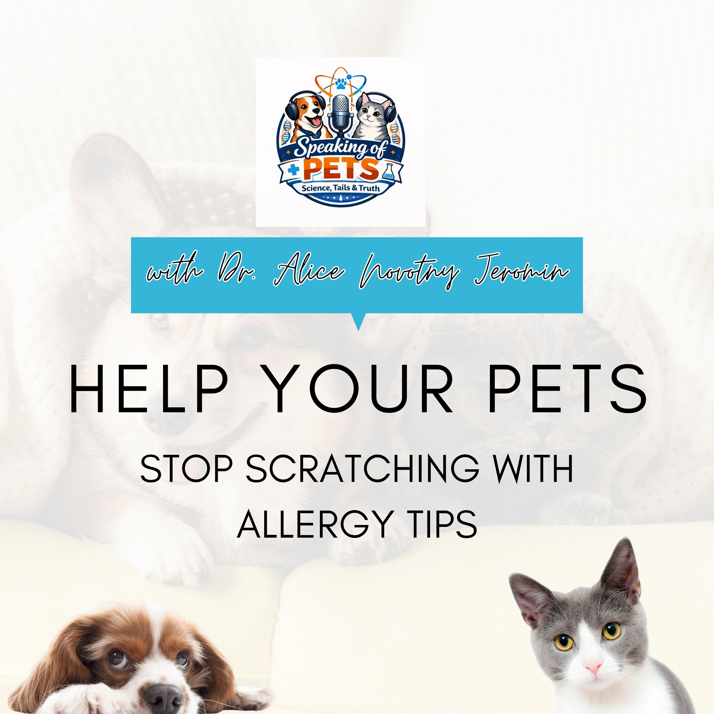 Help Your Pets Stop Scratching with Allergy Tips | SOP Ep. 80 - Dr. Alice Novotny Jeromin