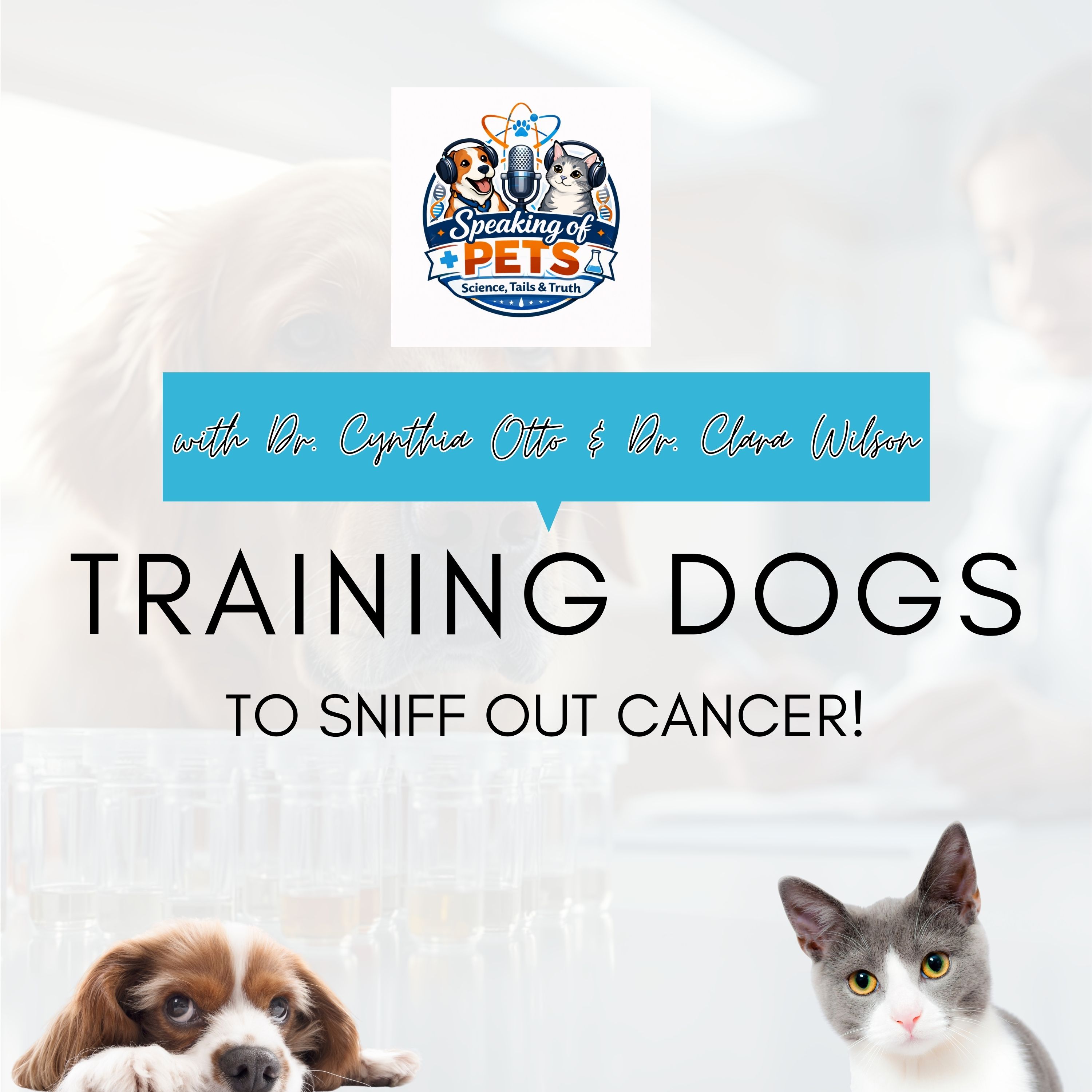 Training Dogs To Sniff Out Cancer! | SOP Ep. 117 - Dr. Cynthia Otto & Dr. Clara Wilson episode artwork