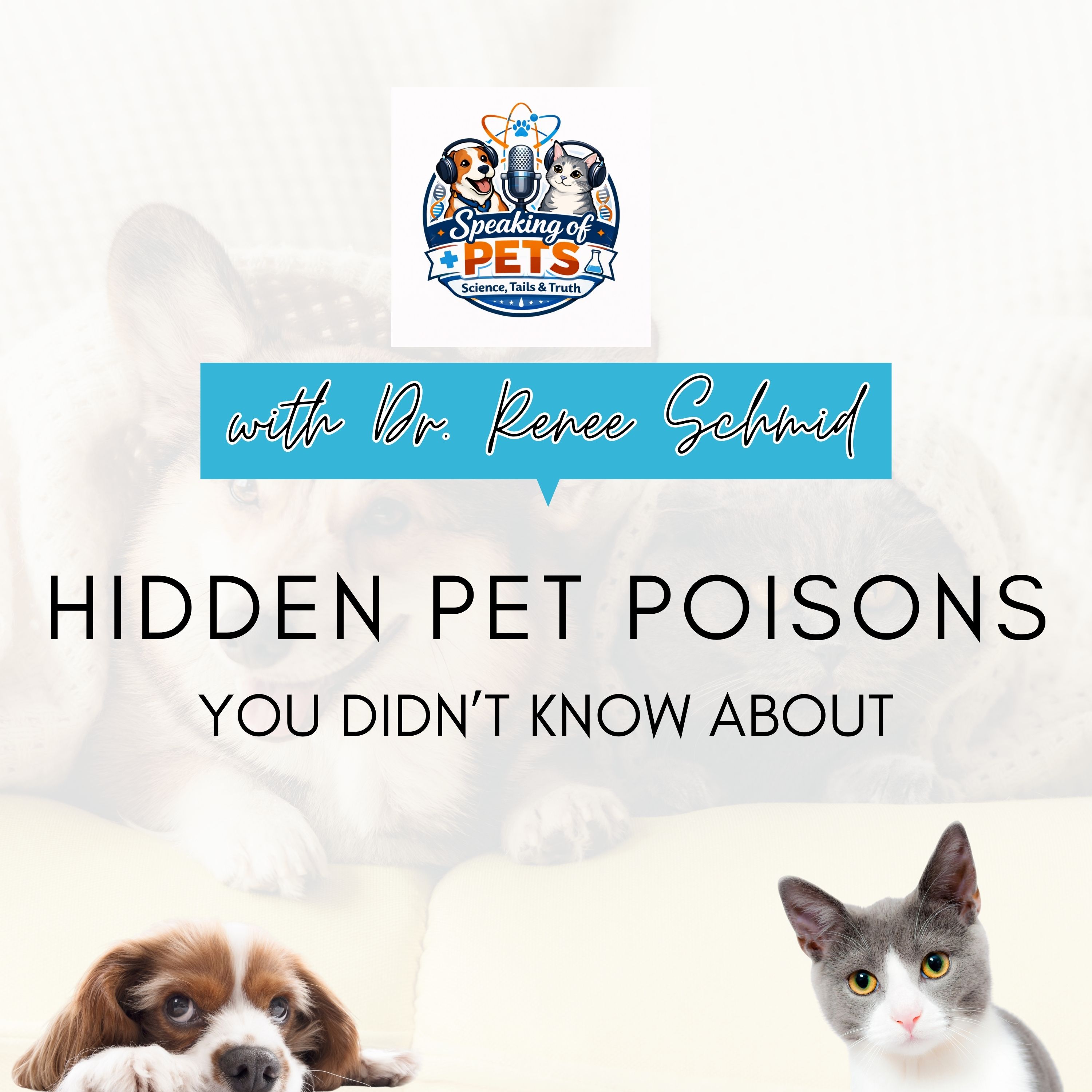 Hidden Pet Poisons You Didn't Know About | SOP Ep. 88 - Dr. Renee Schmid