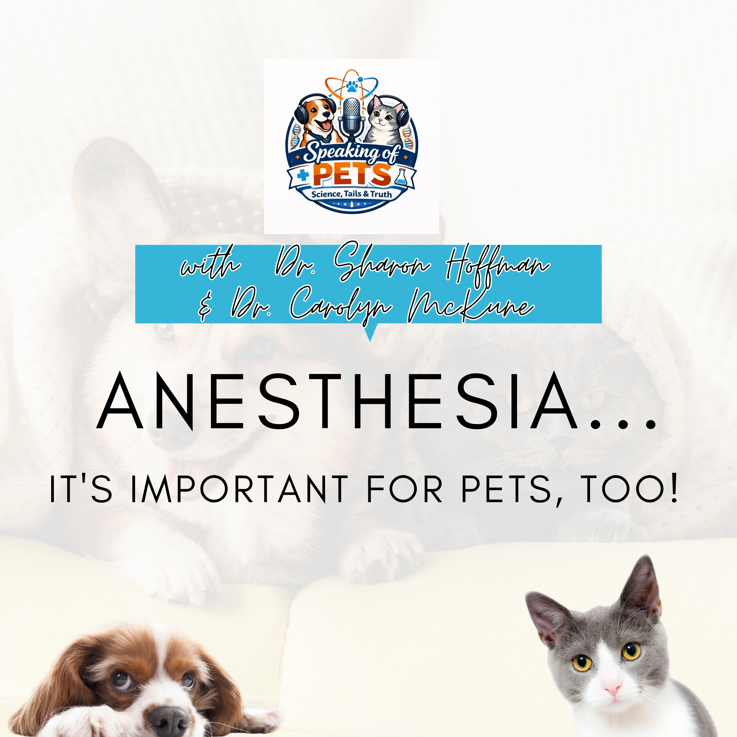 Anesthesia...It's Important For Pets, Too!  | SOP Ep. 96 - Dr. Sharon Hoffman & Dr. Carolyn McKune - Take 2