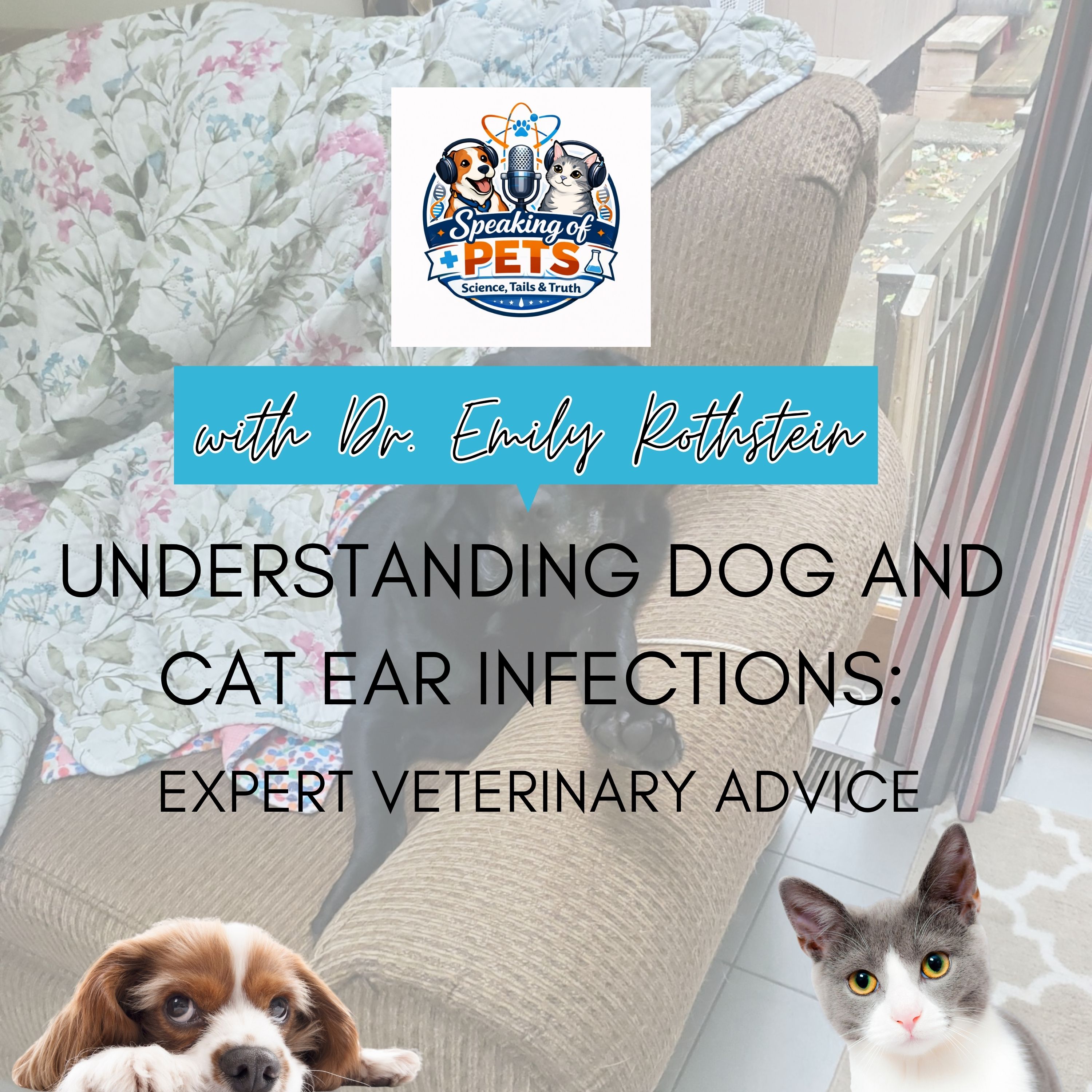 Understanding Dog and Cat Ear Infections: Expert Veterinary Advice | SOP Ep. 124 - Dr. Emily Rothstein episode artwork