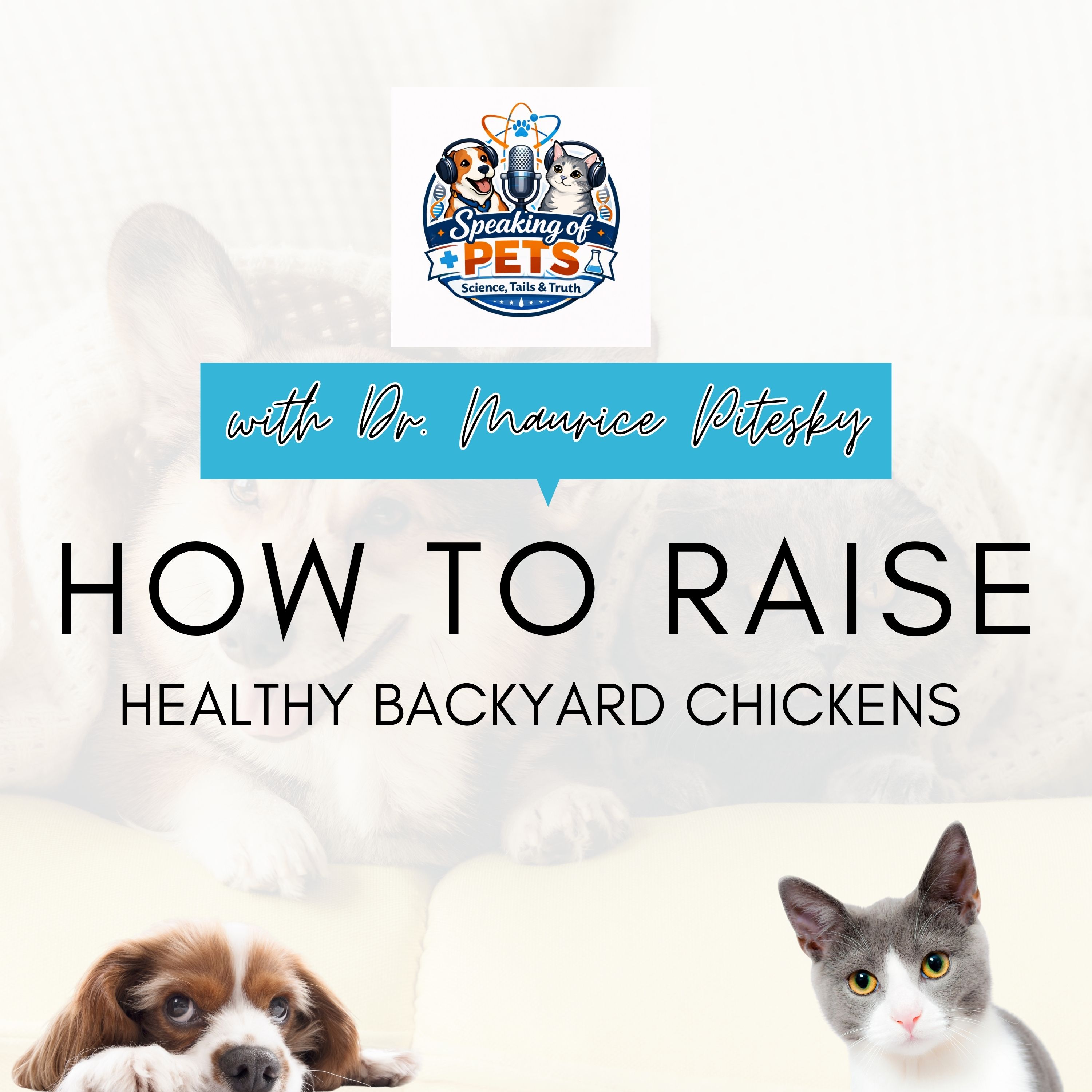 How To Raise Healthy Backyard Chickens | SOP Ep. 66 - Dr. Maurice Pitesky