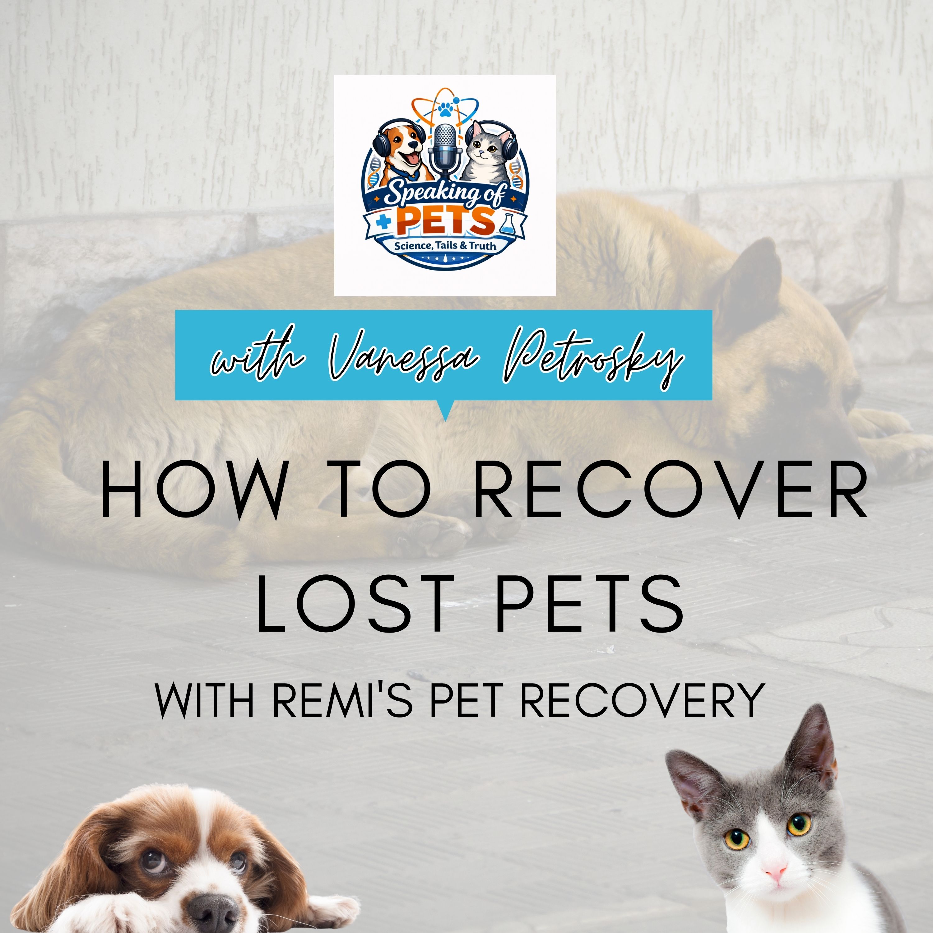 How To Recover Lost Pets With Remi's Pet Recovery | SOP Ep. 56 - Vanessa Petrosky