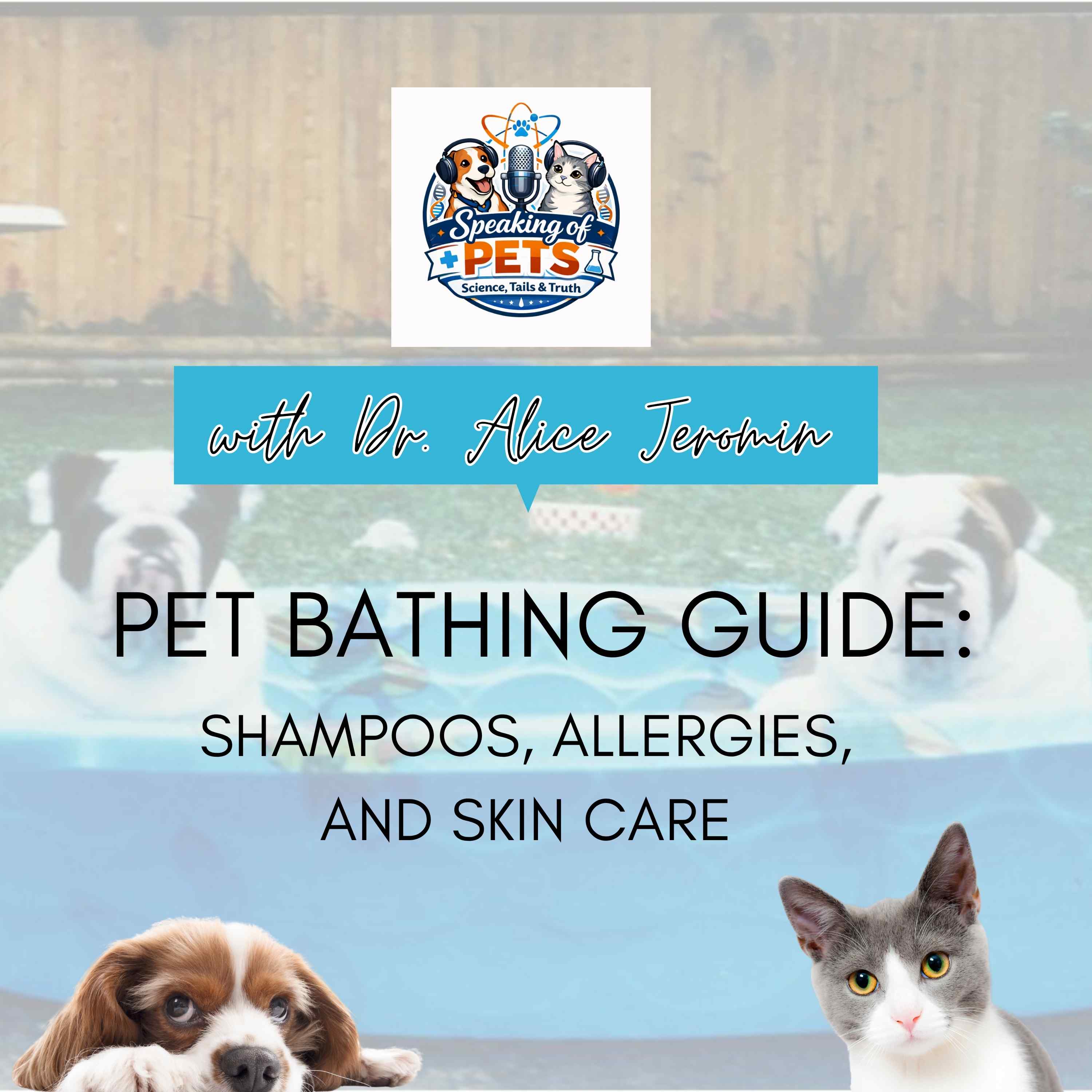 Pet Bathing Guide: Shampoos, Allergies, and Skin Care | SOP Ep. 123 - Dr. Alice Jeromin episode artwork