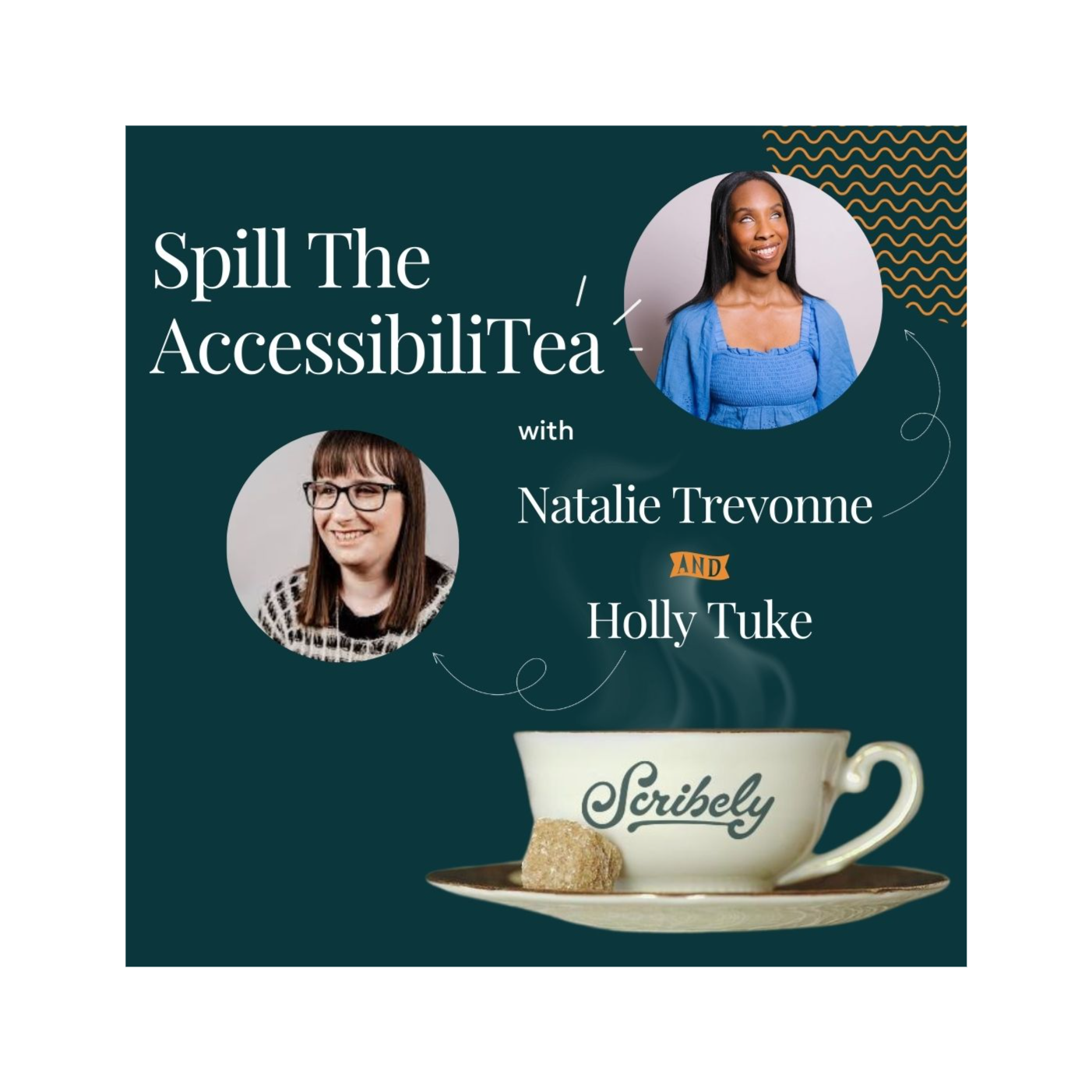 Episode 1: The Struggle is Real- Social Media Accessibility episode artwork