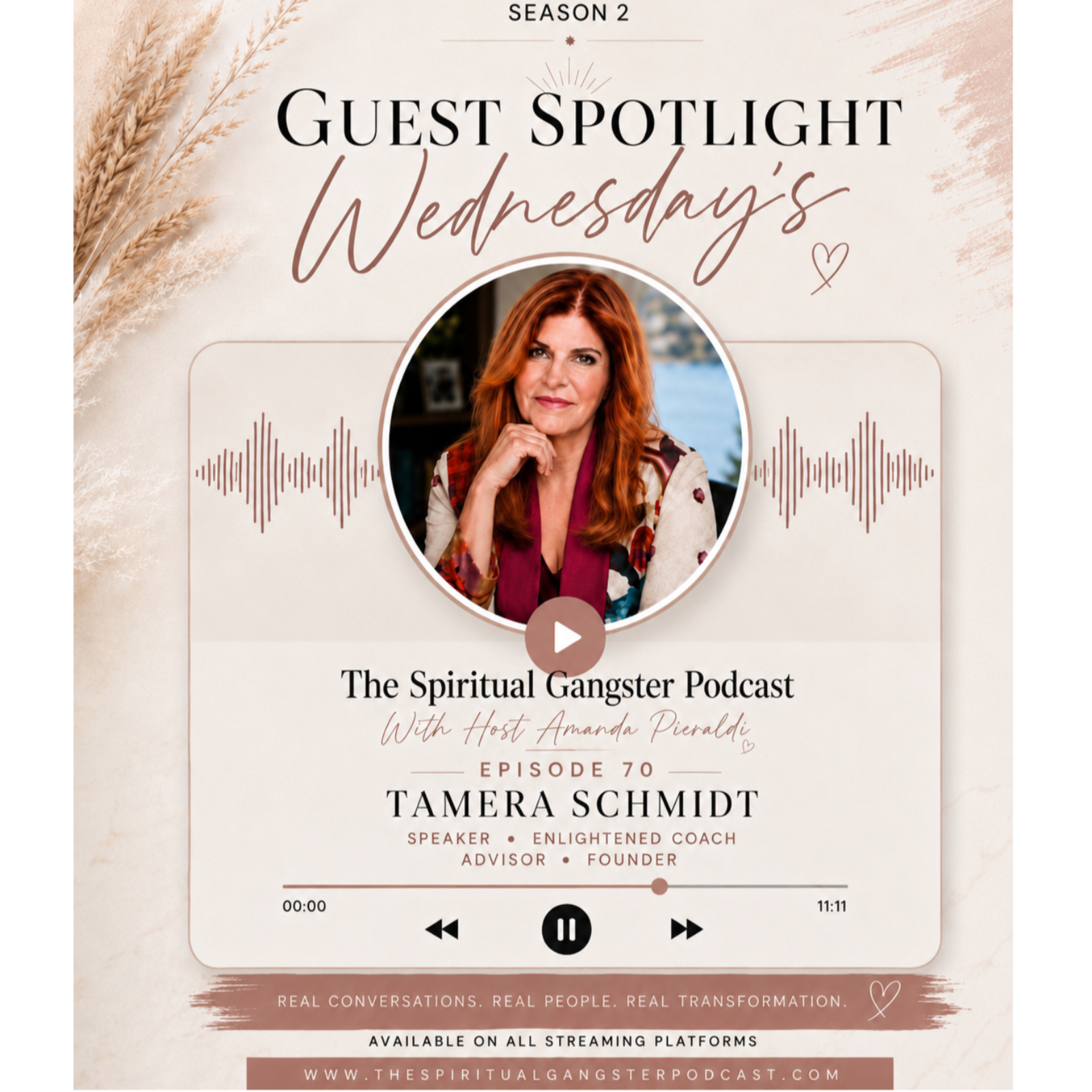 Episode 70: Guest Spotlight - Tamera Schmidt episode artwork