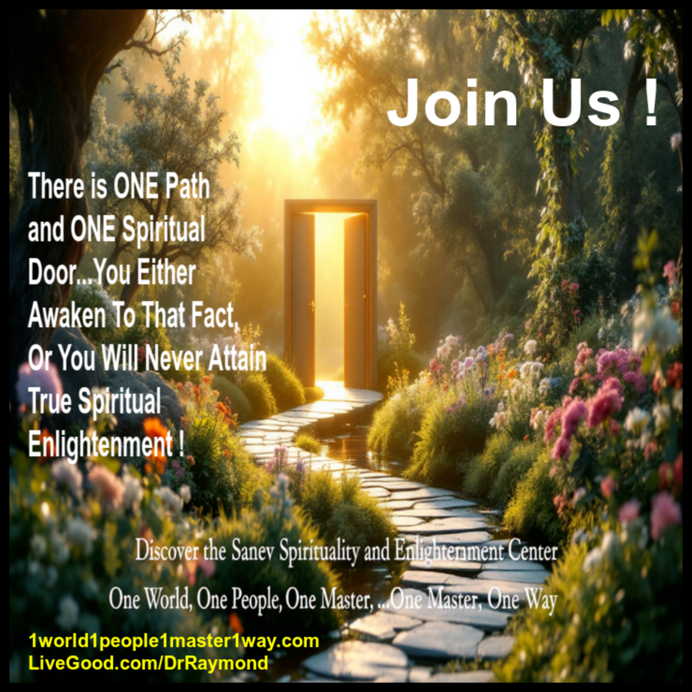 Saneiv, The Only True Enlightened Master in The World | Master Saneiv Will Expand Your Mind and Your Spirital Capacity episode artwork