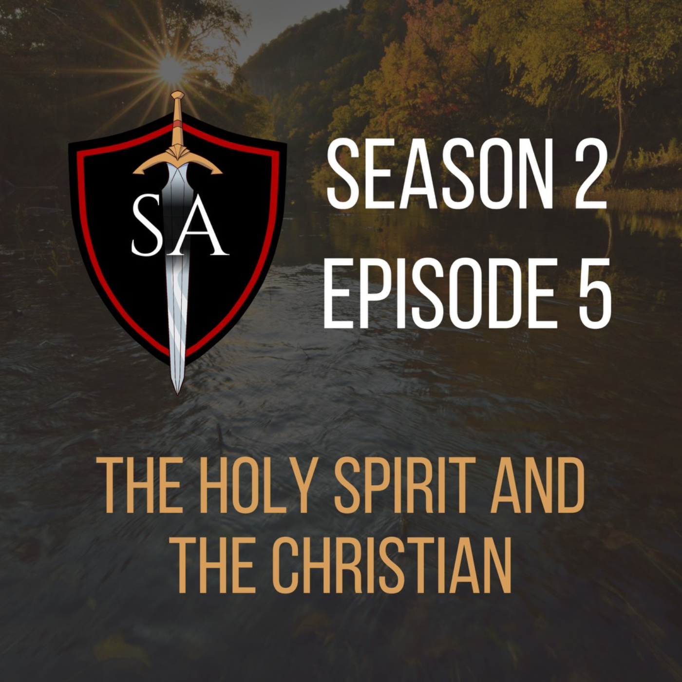 The Holy Spirit and the Christian