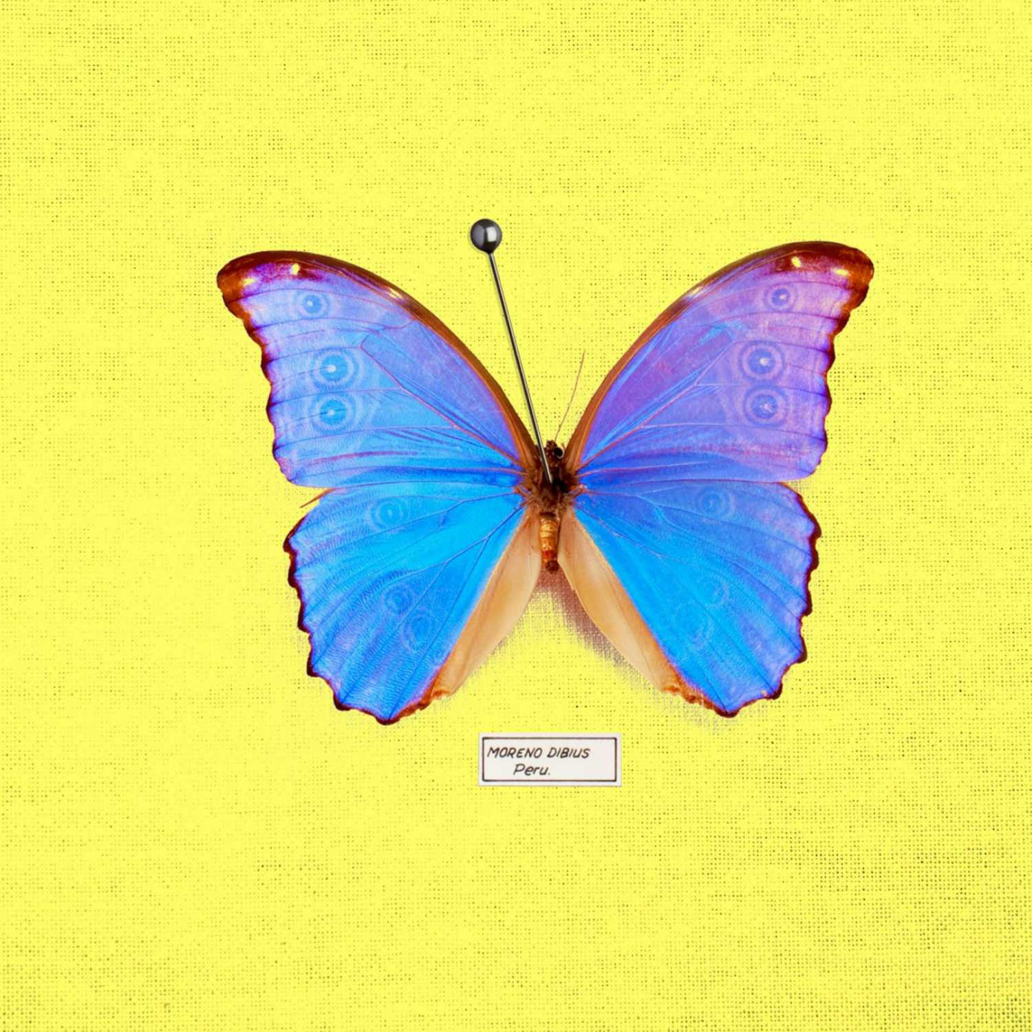 songs for spotify podcast artwork