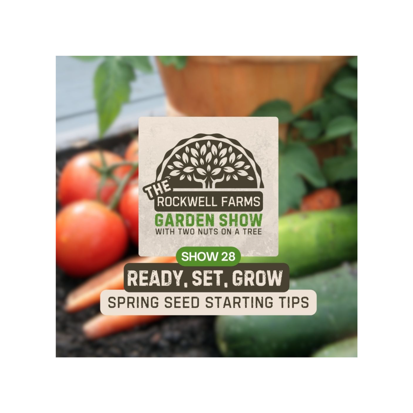 Ready, Set, Grow: Spring Seed Starting Tips | Rockwell Farms Garden Show #28