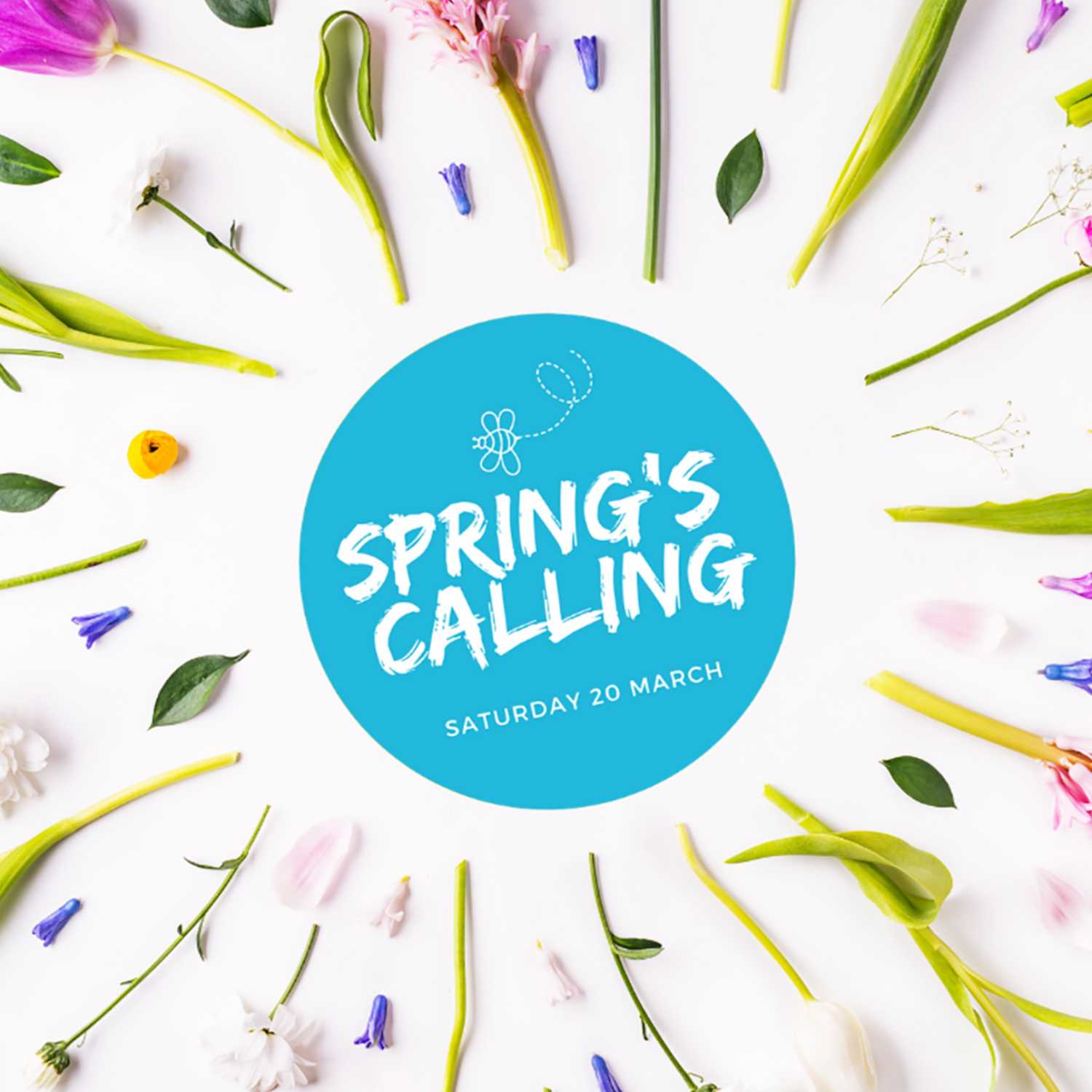 Spring's Calling
