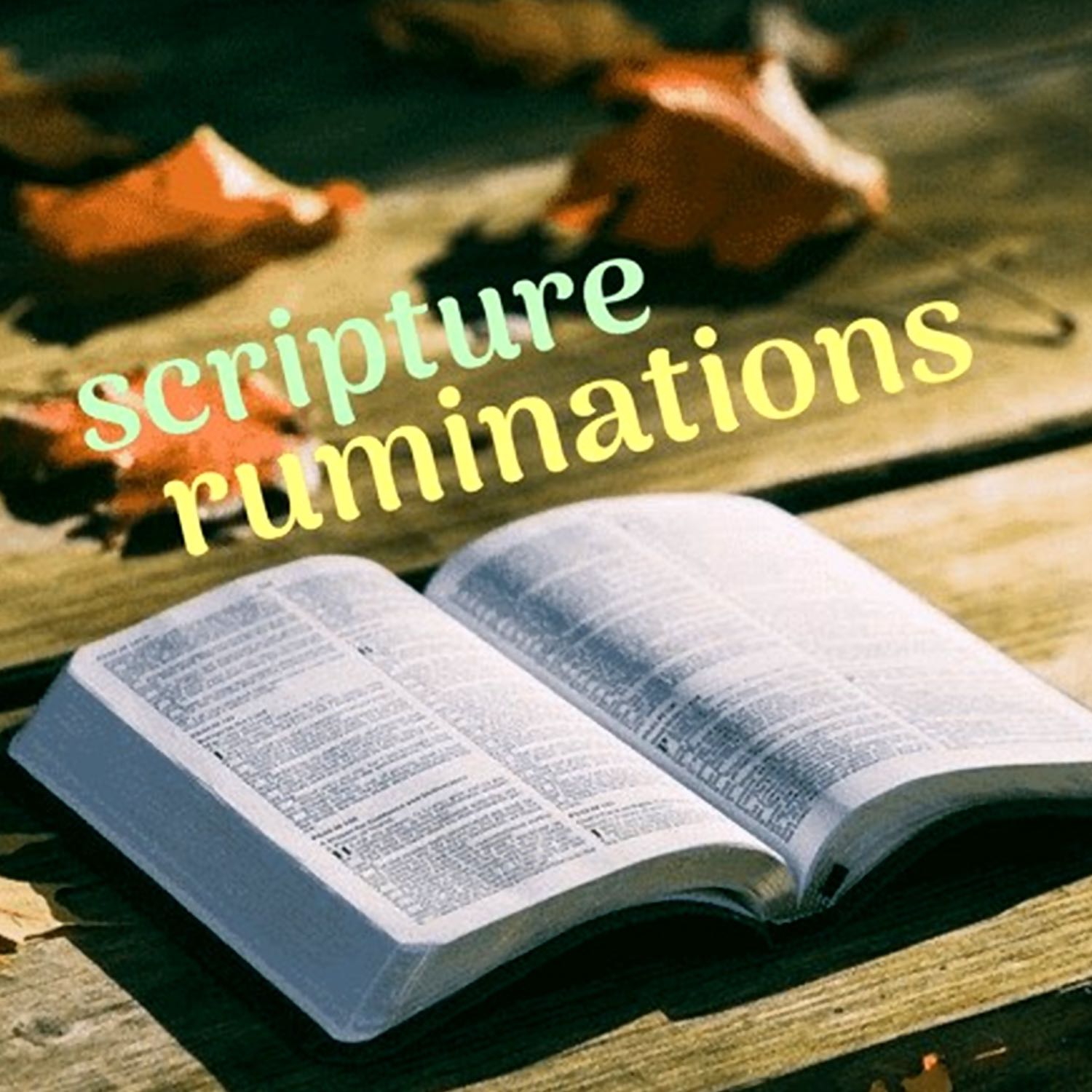 scripture ruminations 