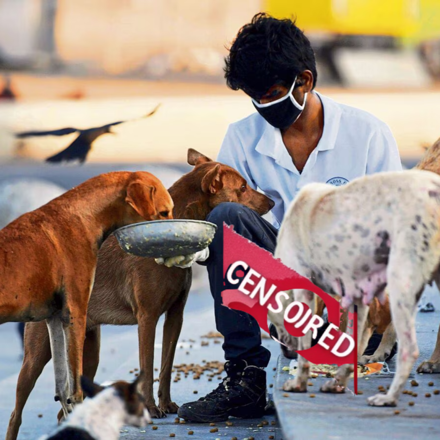 The Silent Threat: Crossing the Species Barrier: Is Dog-Borne Infections Driving India’s Next Pandemic?
