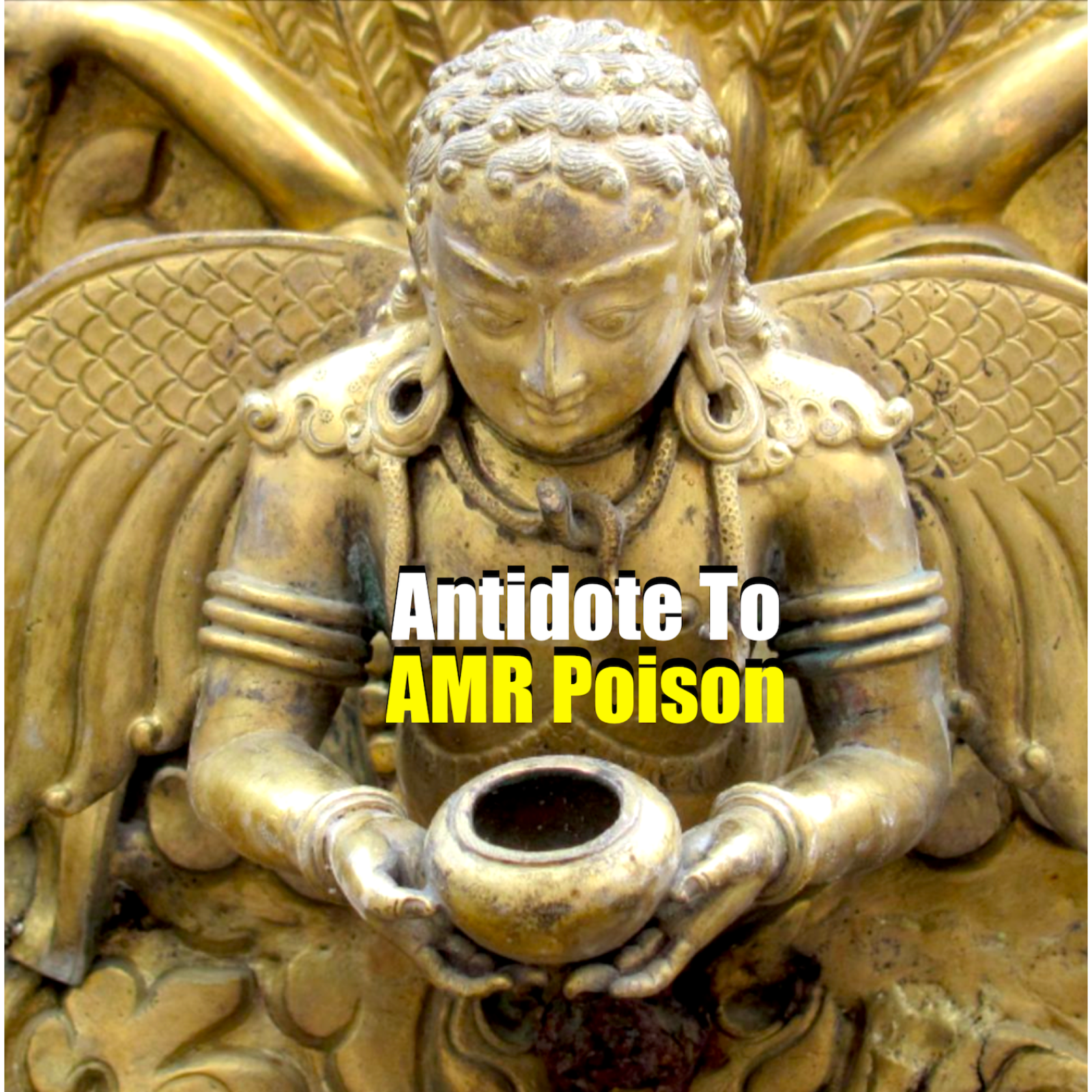 Ancestral mission to defeat Threat of Superbugs or Antimicrobial Resistant infections spread but Decision Makers and People in Power Resist Change but WHY People who benifit are not recognizing the benefits?  episode artwork