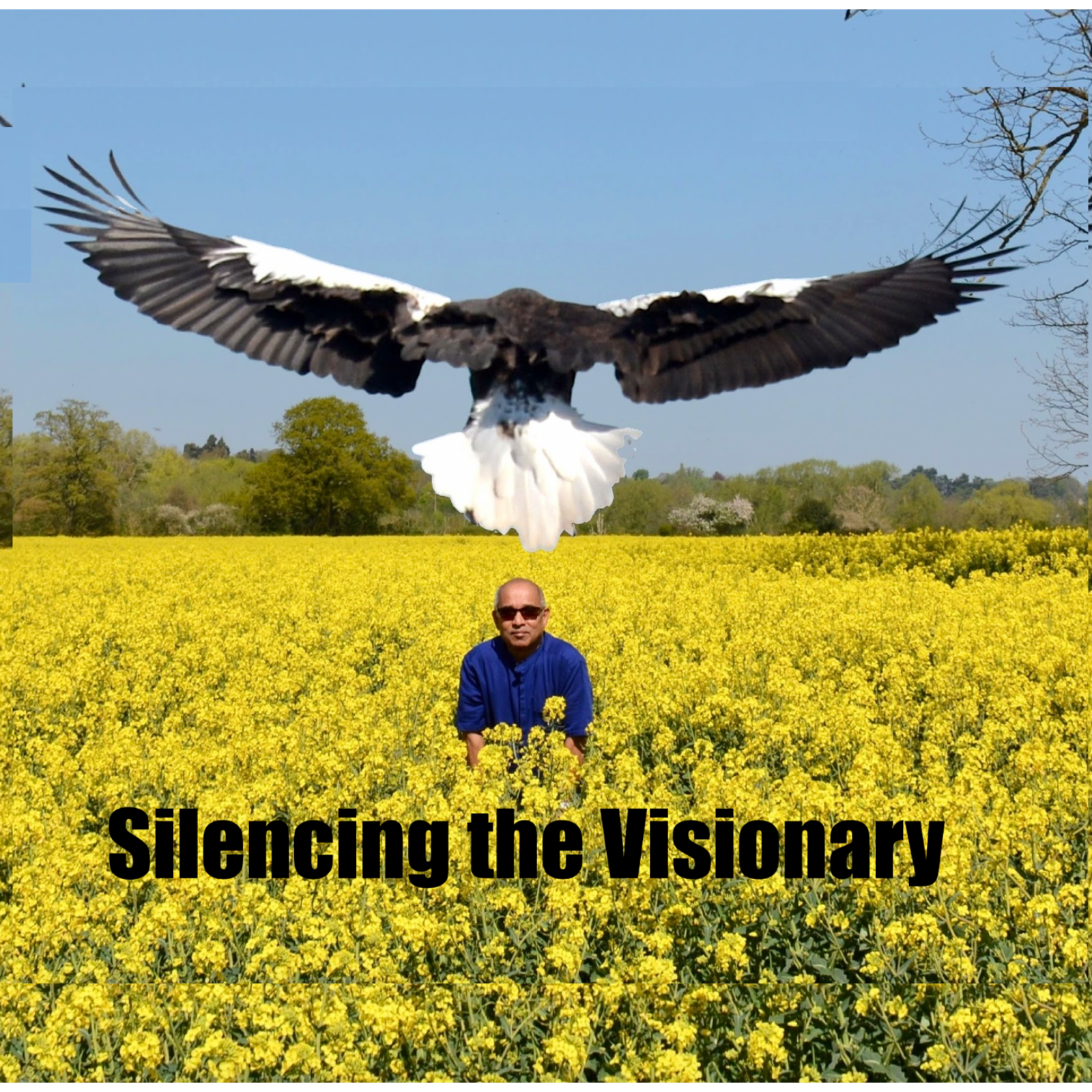 Silencing the Visionary by Institutions Protecting the Golden Goose from Challenging the Status Quo in the NHS in the UK episode artwork