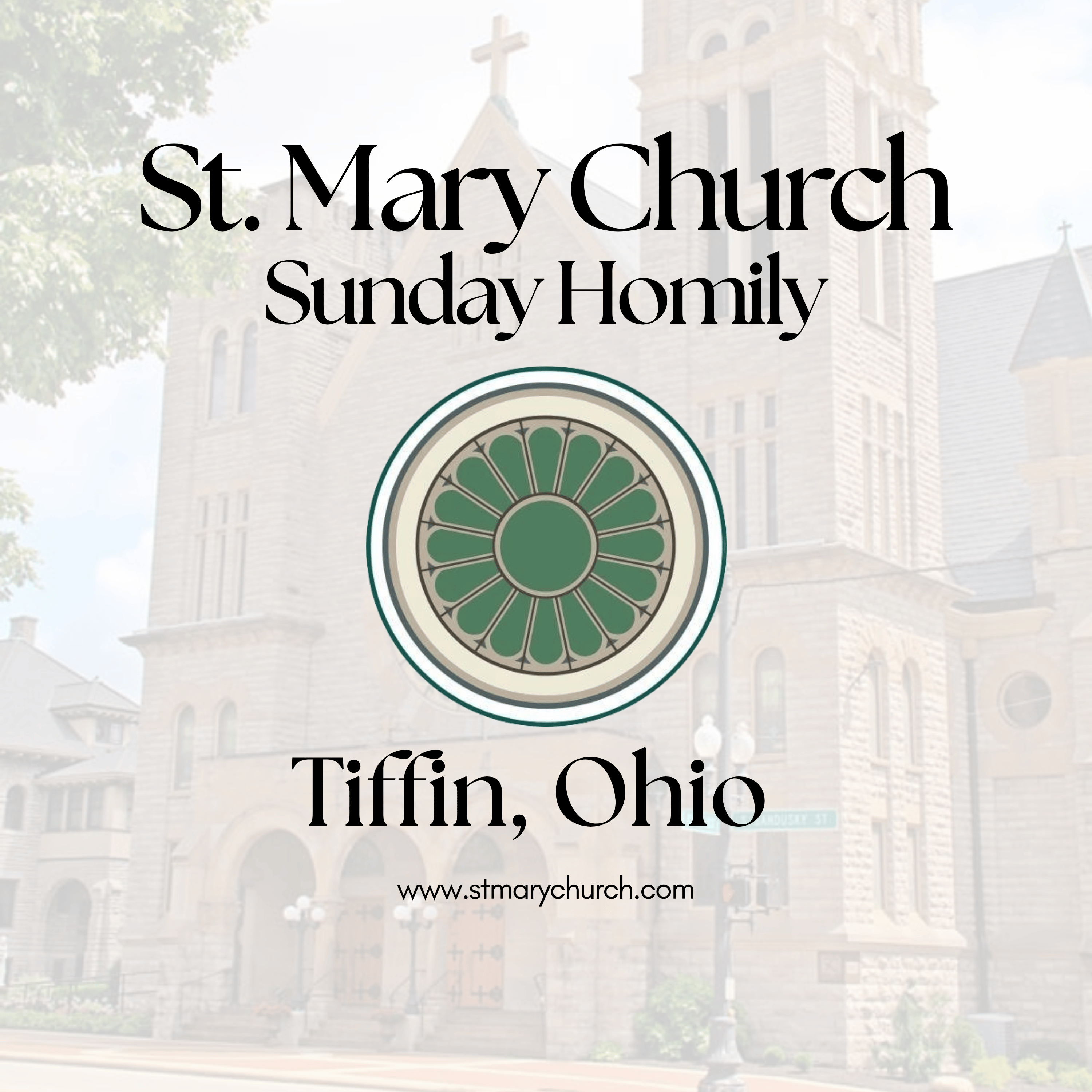 Homily Highlight August 30, 2026 | 22nd Sunday in Ordinary Time episode artwork